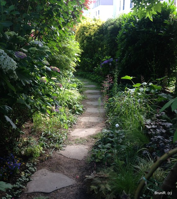 Wenn ich nicht irre, so führt dieser Weg von der Sitzecke in den hinteren rechten Teil des Gartens...