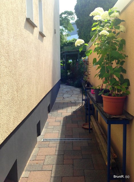 Hier entlang geht es in den TRAUMGARTEN!