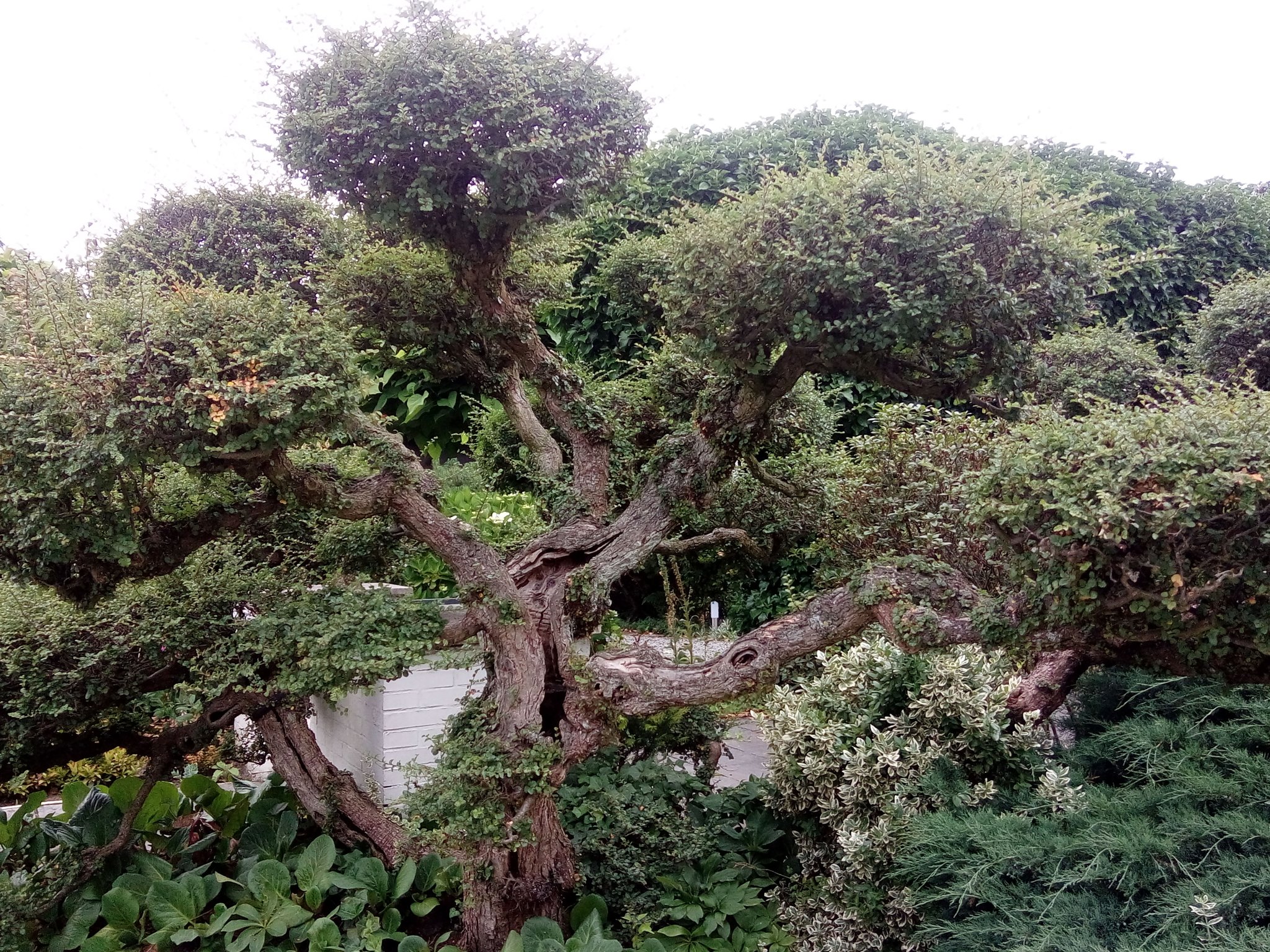 Blicke in freie Gladbeck