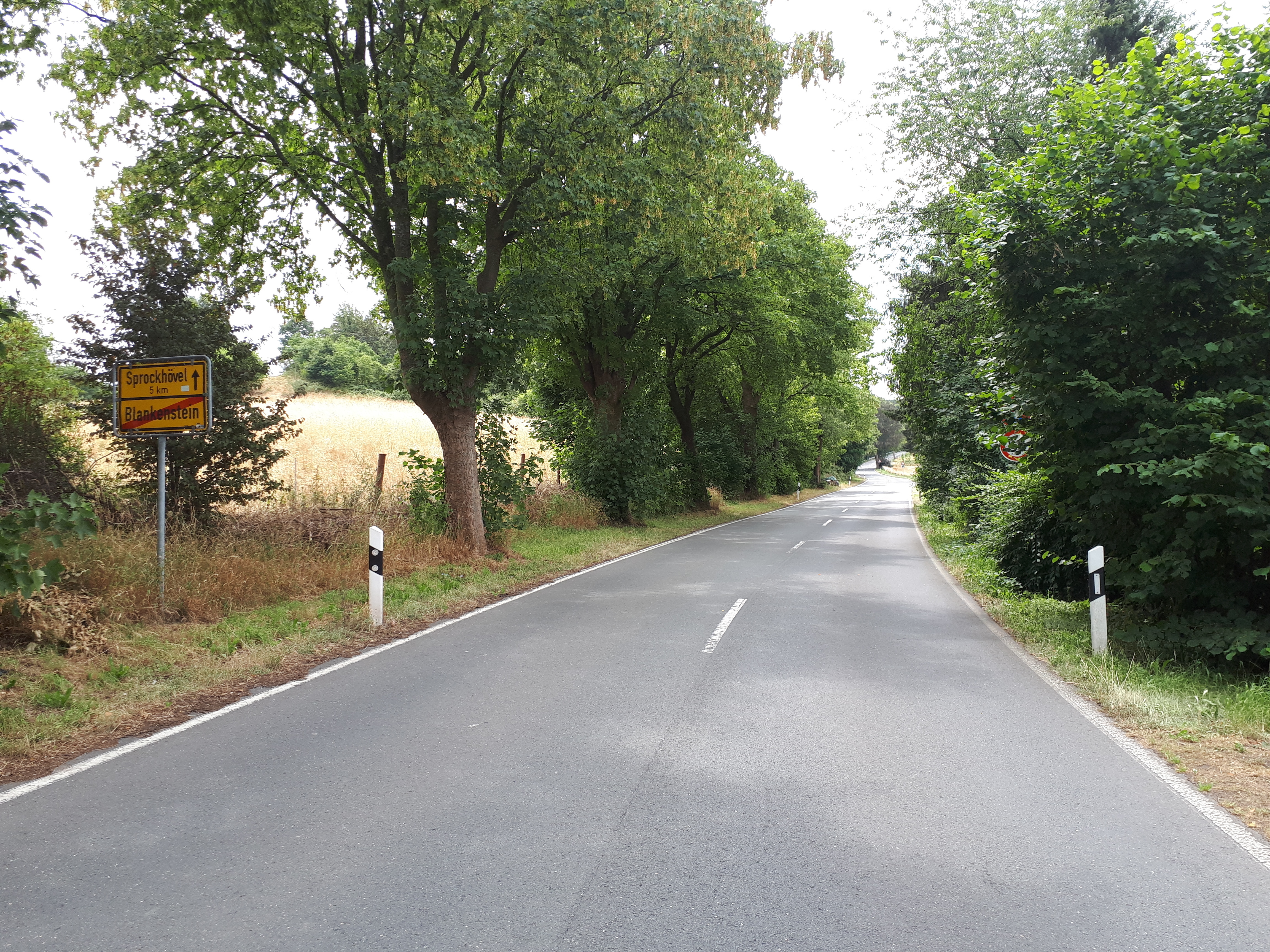 Das 50km/h Schild rechts im Gebüsch ist kaum zu erkennen