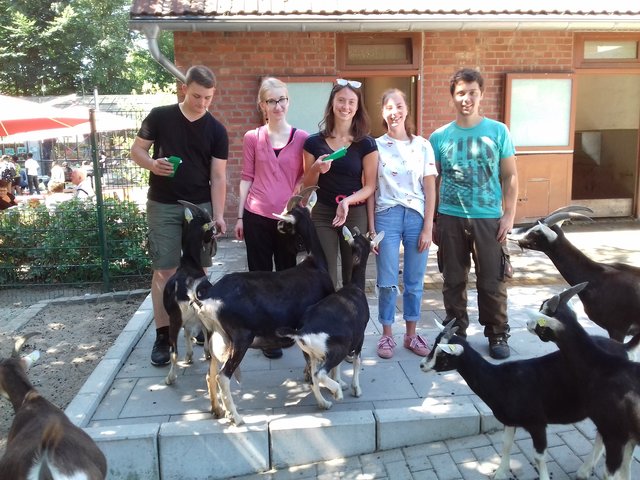 Luke, Katharina, Larissa, Fee und Alexander waren als Tierpfleger im Witthausbusch aktiv.