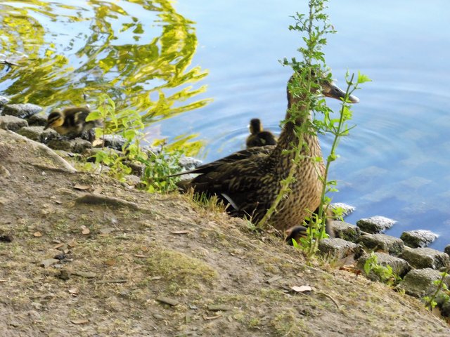 Nun geht es ab ins Wasser