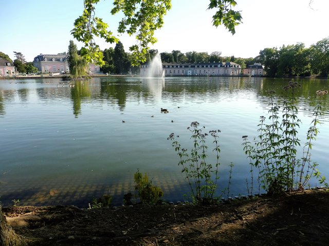 Jetzt erkunden sie den Teich