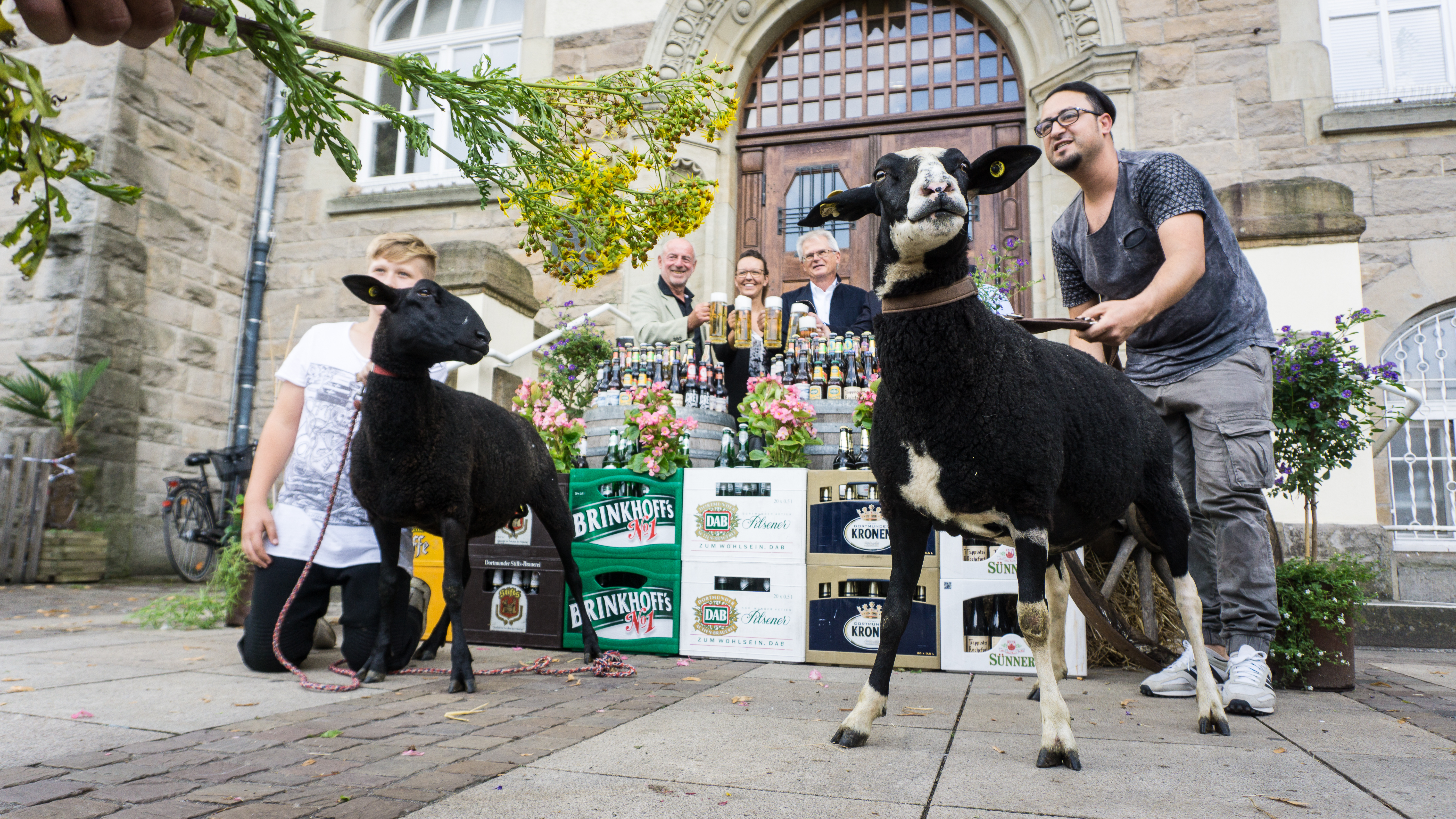 Braureikunst trifft auf Schaf: Die Organisatoren, das Bezirksmarketing Aplerbeck und Patrick Arens freuen sich schon tierisch auf ein hopfiges Fest.