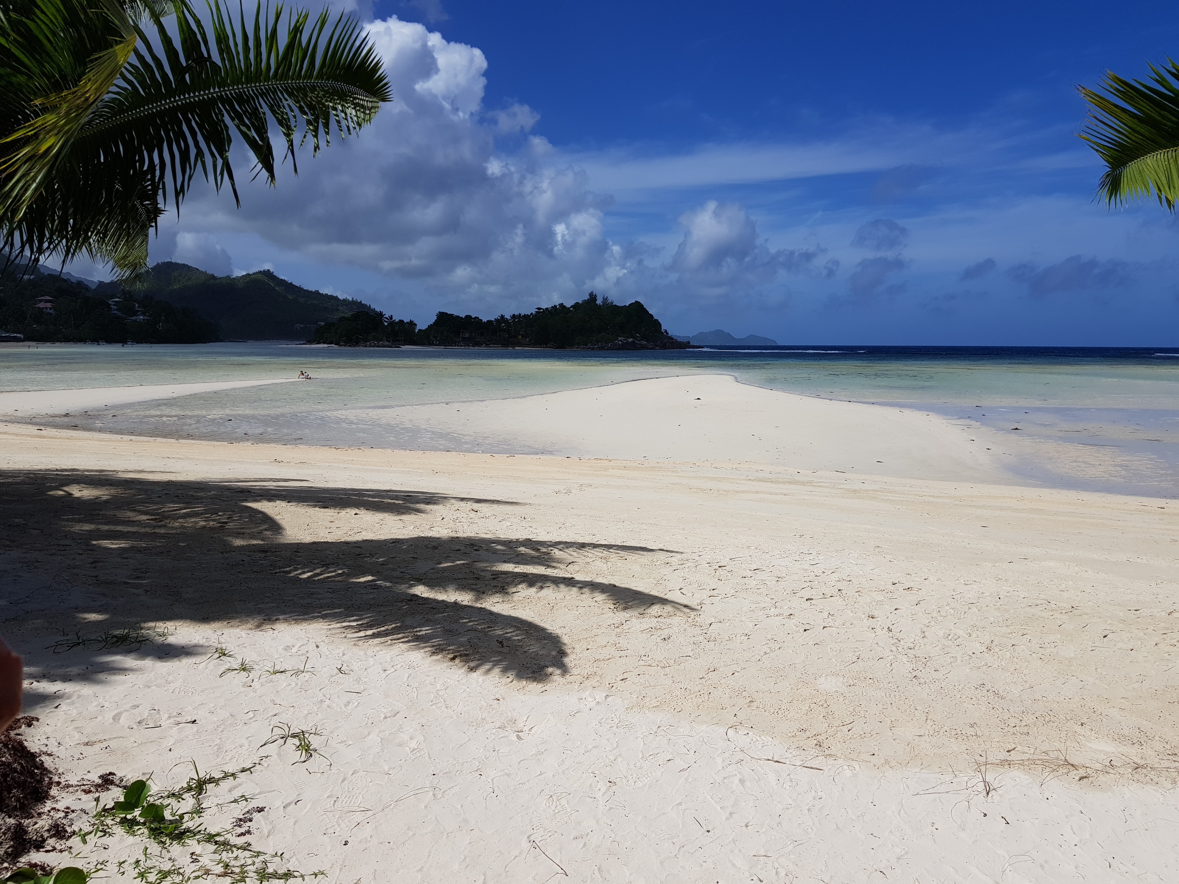 Auf den Seychellen gibt es Traumstrände so weit das Auge reicht, aber auch Regenwälder und schöne Städte.