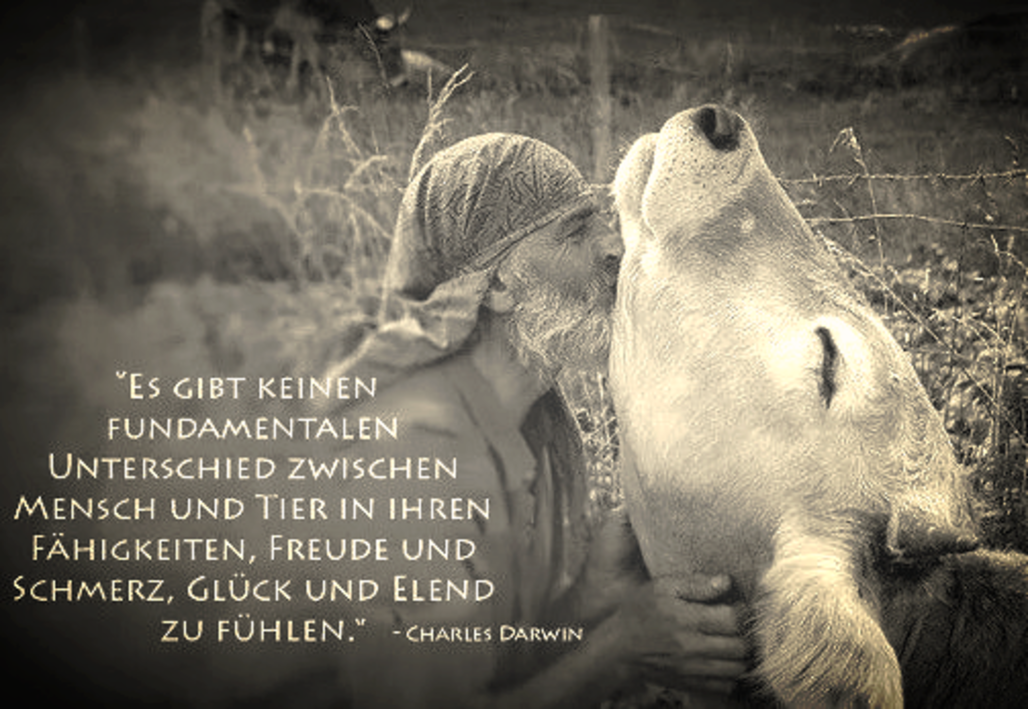 Abschied Von Professor Dr Dr Bernhard Huskamp Hagen