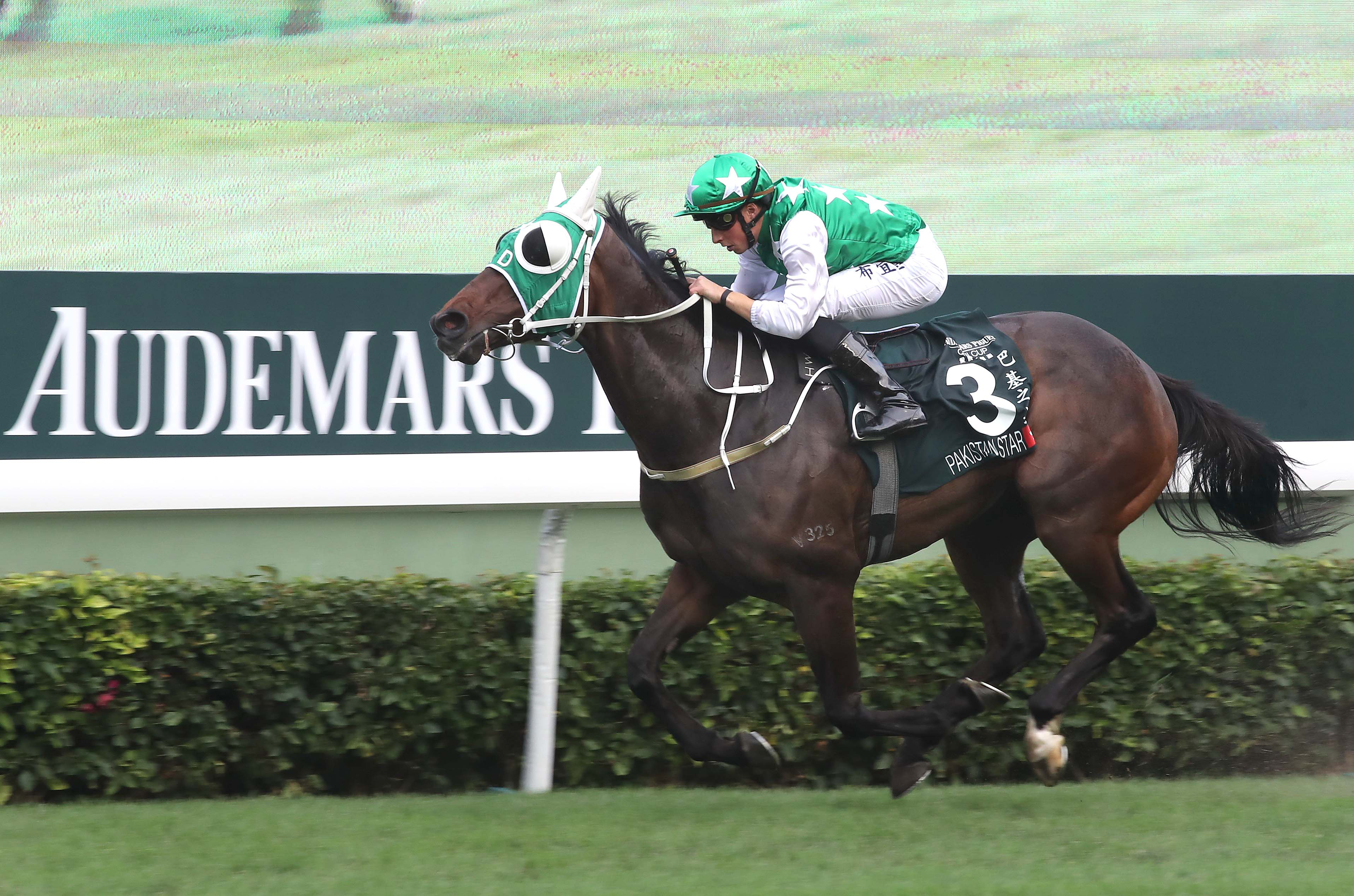 Pakistan Star (Foto Hong Kong Jockey Club)