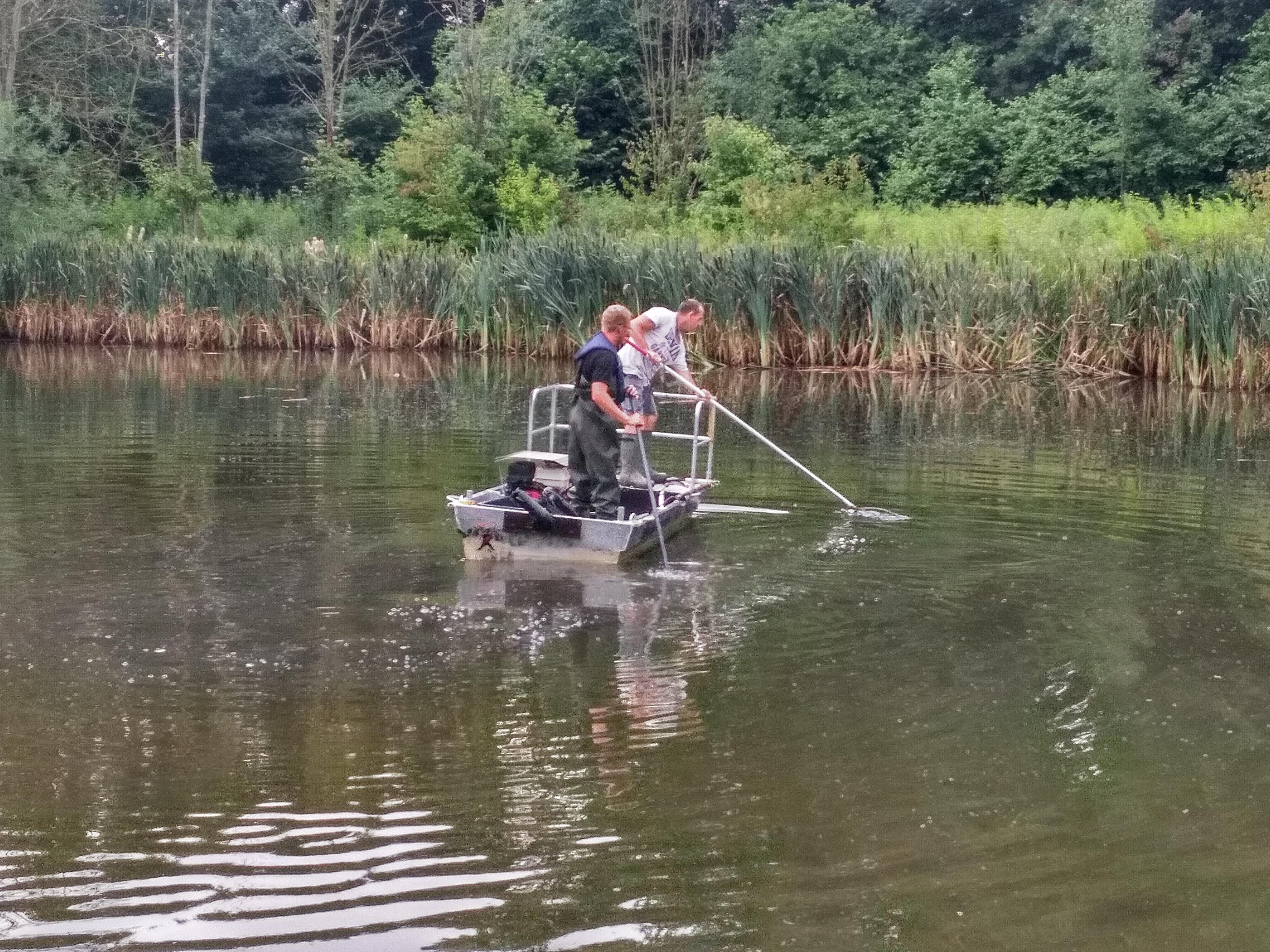 Der Lippeverband musste die Notbremse ziehen und rund 3.000 Fische in verschiedene Gewässer nach Dortmund umsiedeln. Foto: Lippeverband