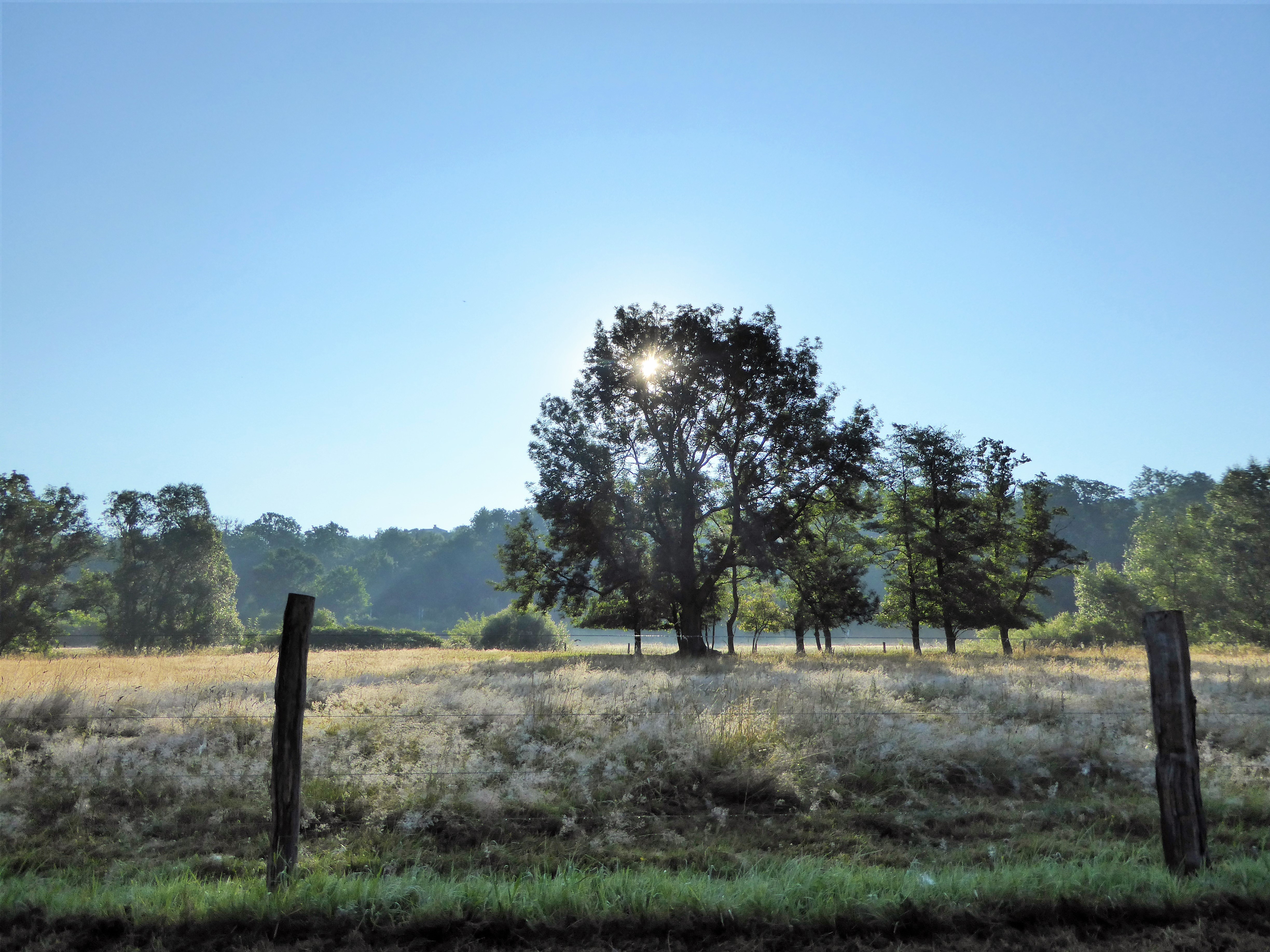 Frühmorgendliche Stille