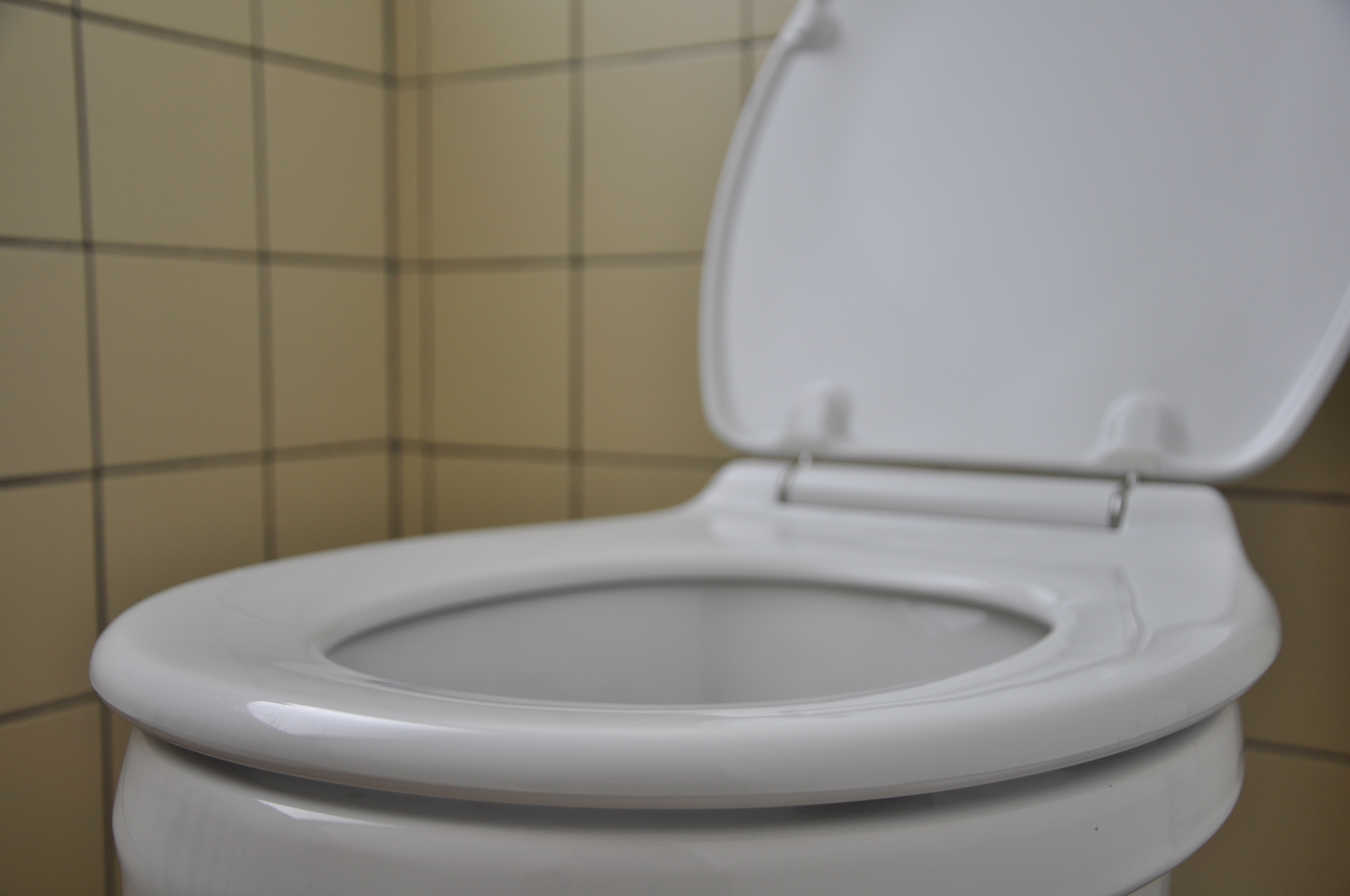 Ein immer wiederkehrendes Geschäft: die Sanierung von Schultoiletten. Symbolfoto: Müller
