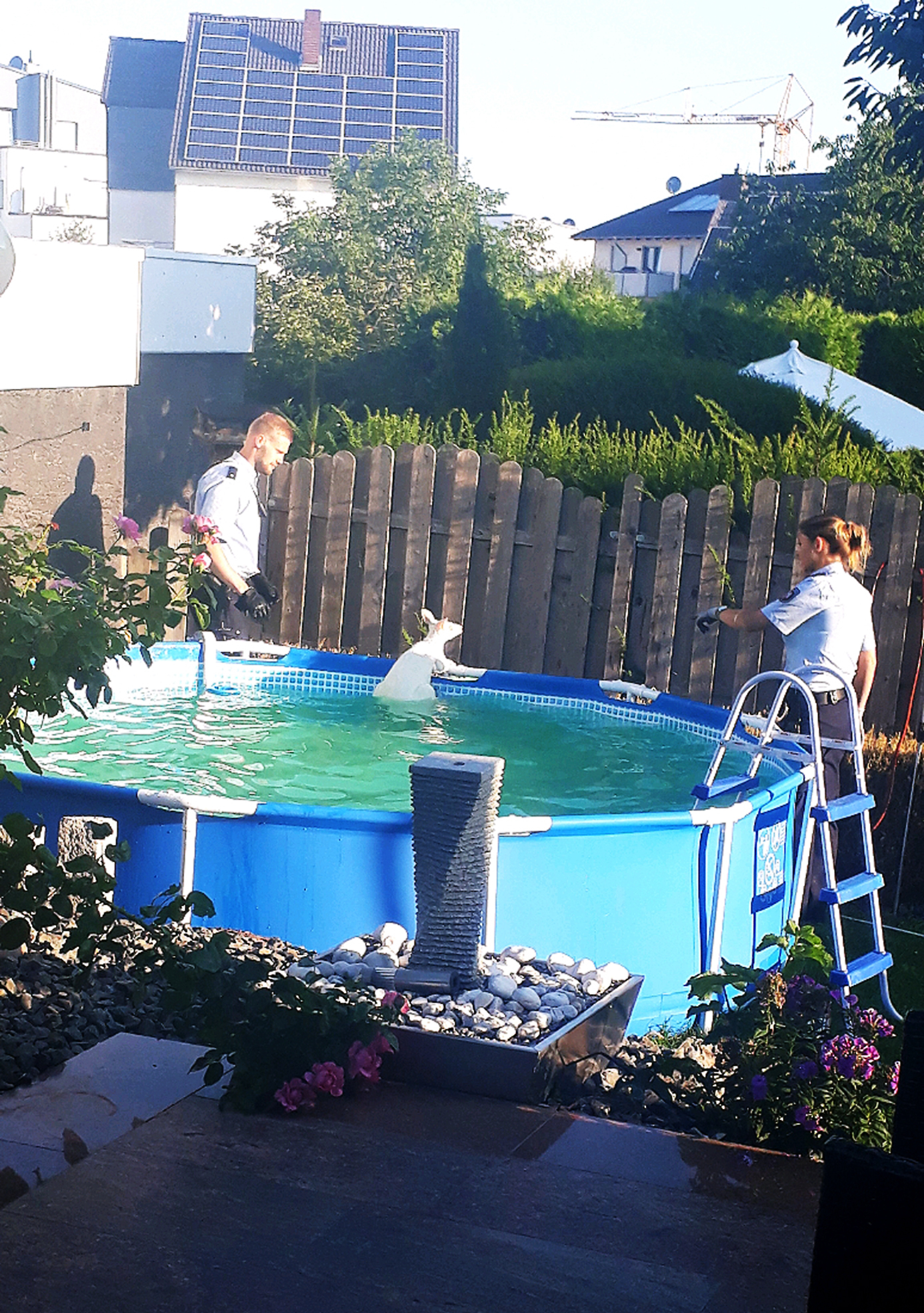 Das Känguru im Brechtener Swimming-Pool.