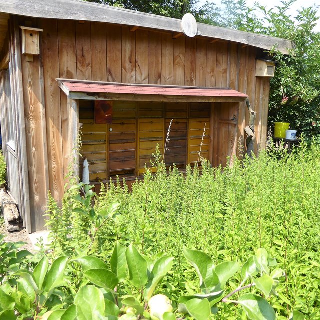Die Bienenstocke im Bauerngarten des Hofes