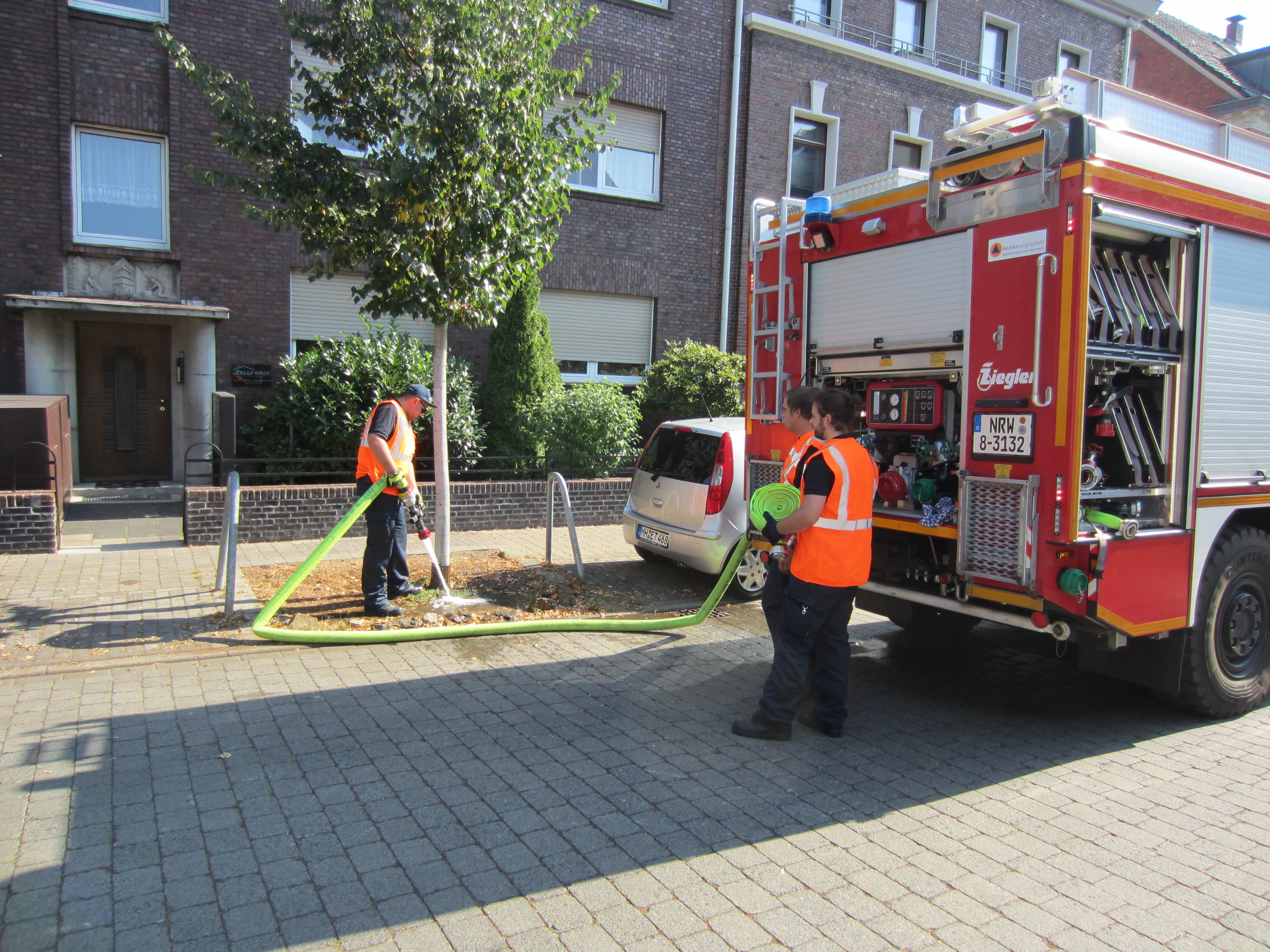 Die Feuerwehr bewässert nun rund 700 Stadtbäume, um sie über die Hitzeperiode zu bringen.