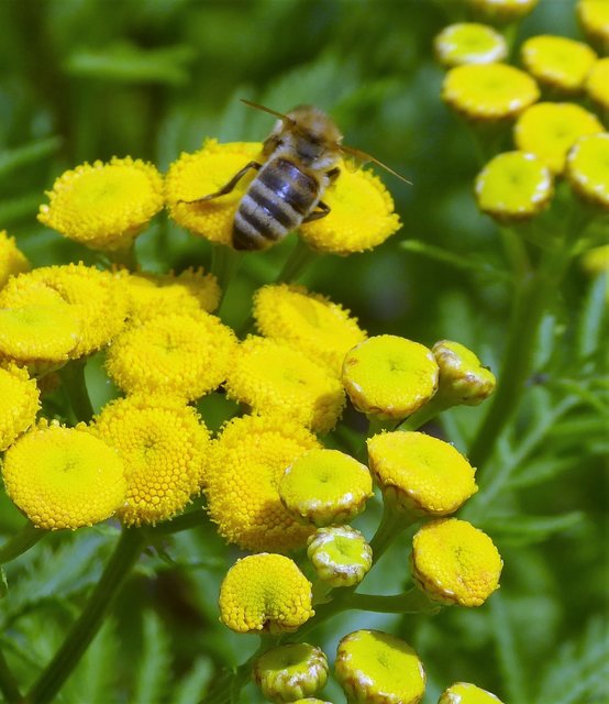 Garten und Gelände bieten viele Möglichkeiten der Begegnung