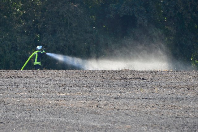 Ein Foto mit Symbolcharakter: Ein Wehrmann bekämpft noch Reste des Feuers, während im Vordergrund das abgebrannte Stoppelfeld zu erkennen ist. | Foto: Kariger/STADTPSPIEGEL Gladbeck