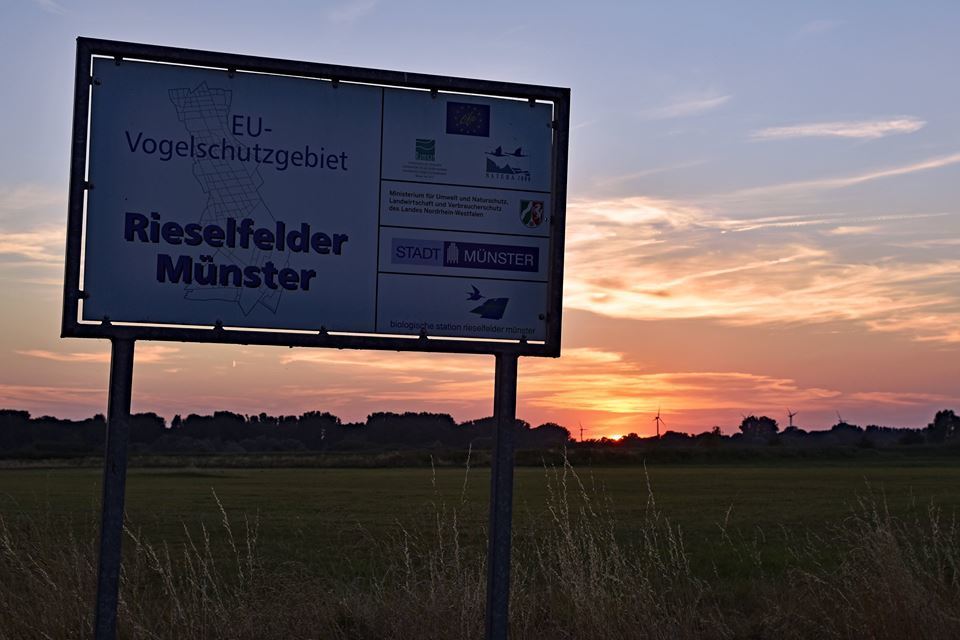 *Die Rieselfelder in Münster*