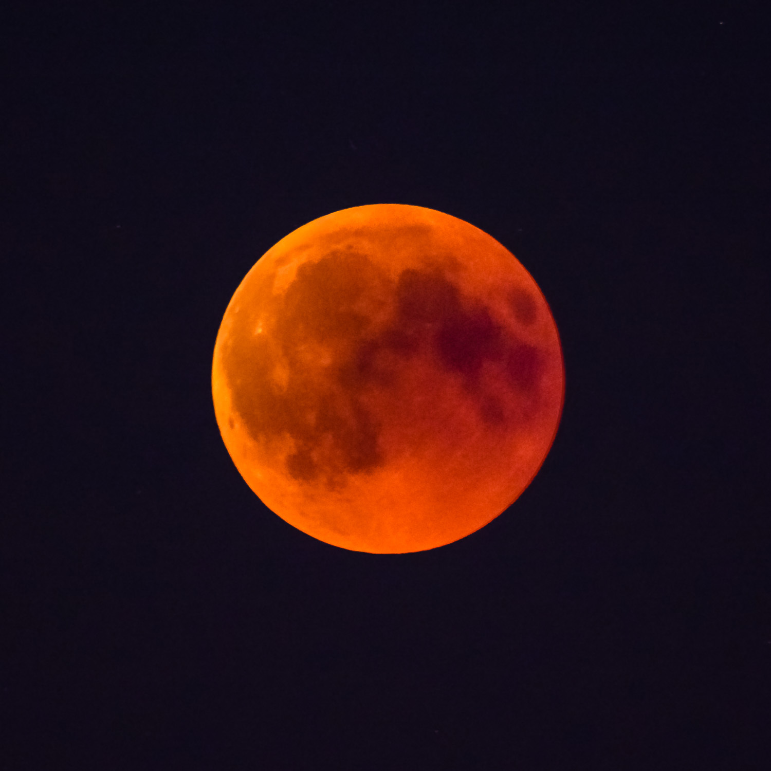 Der Blutmond stark vergrößert, aber dann leider ohne Umgebungs-Kulisse
