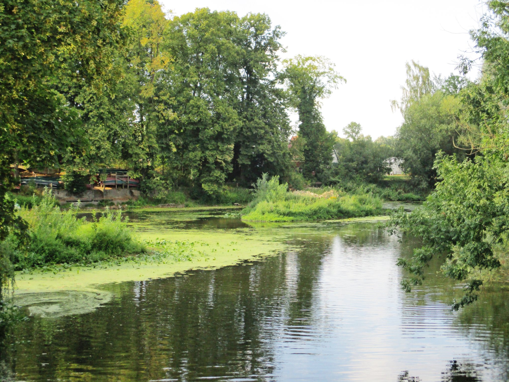 *Abendstimmung an der Werse in Münster* Hagen