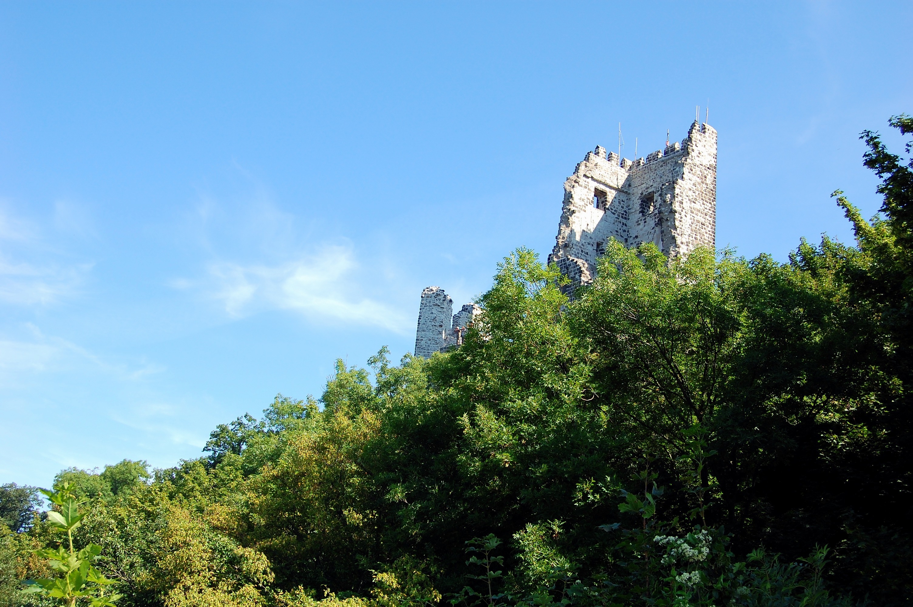 Die 86. Burgenfahrt des Orts- und Heimatvereins Oer-Erkenschwick führt zur Burgruine Drachenfels.