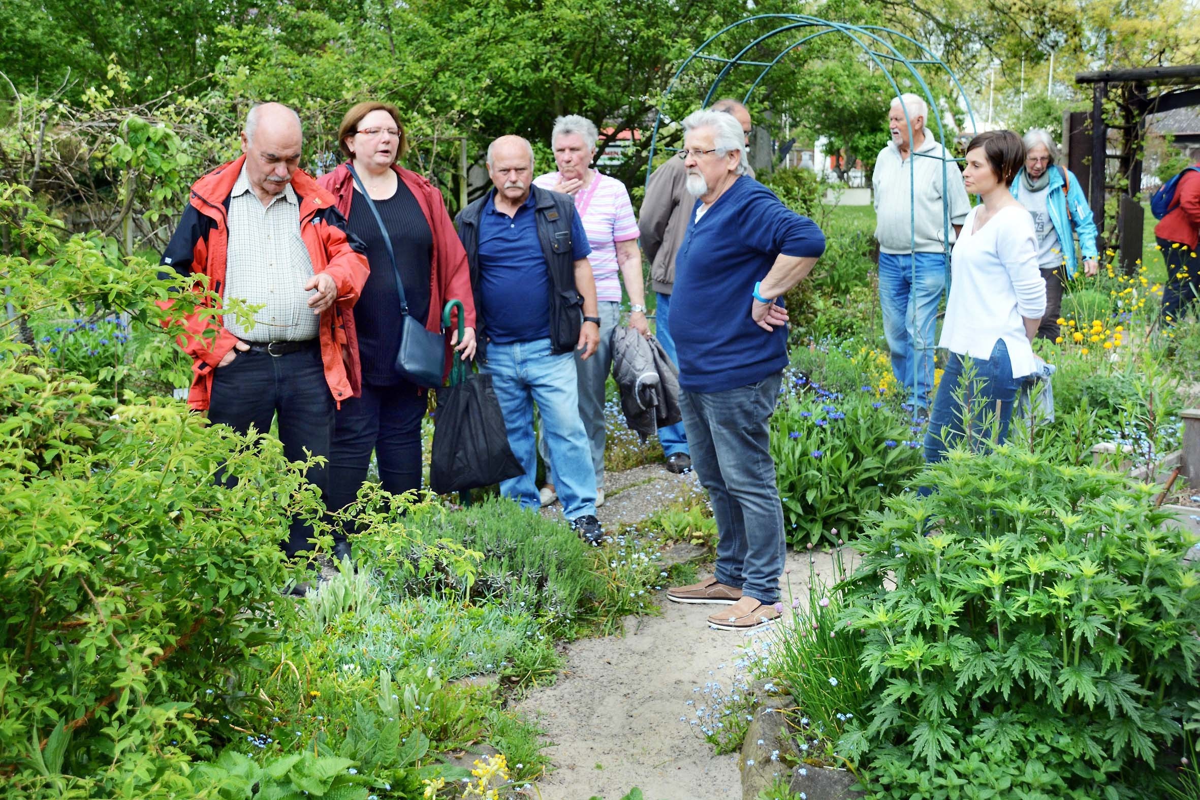 12.05.2017- im GV Nord. Eberstr. Garten AG lässt Natur gestalten und erleben.