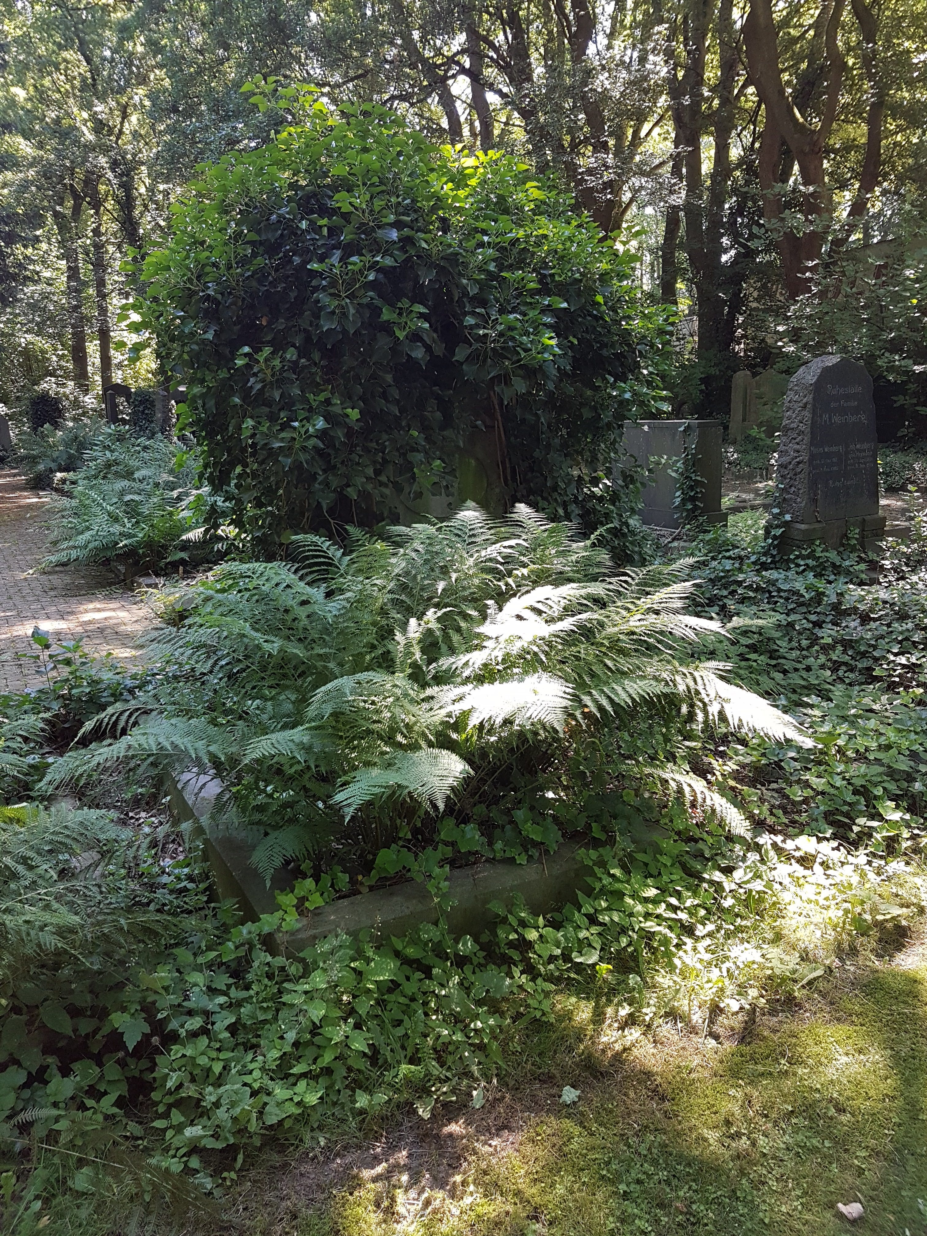 Die Grabstätte Scharlenberg im jüdischen Teil des Ostfriedhofes...