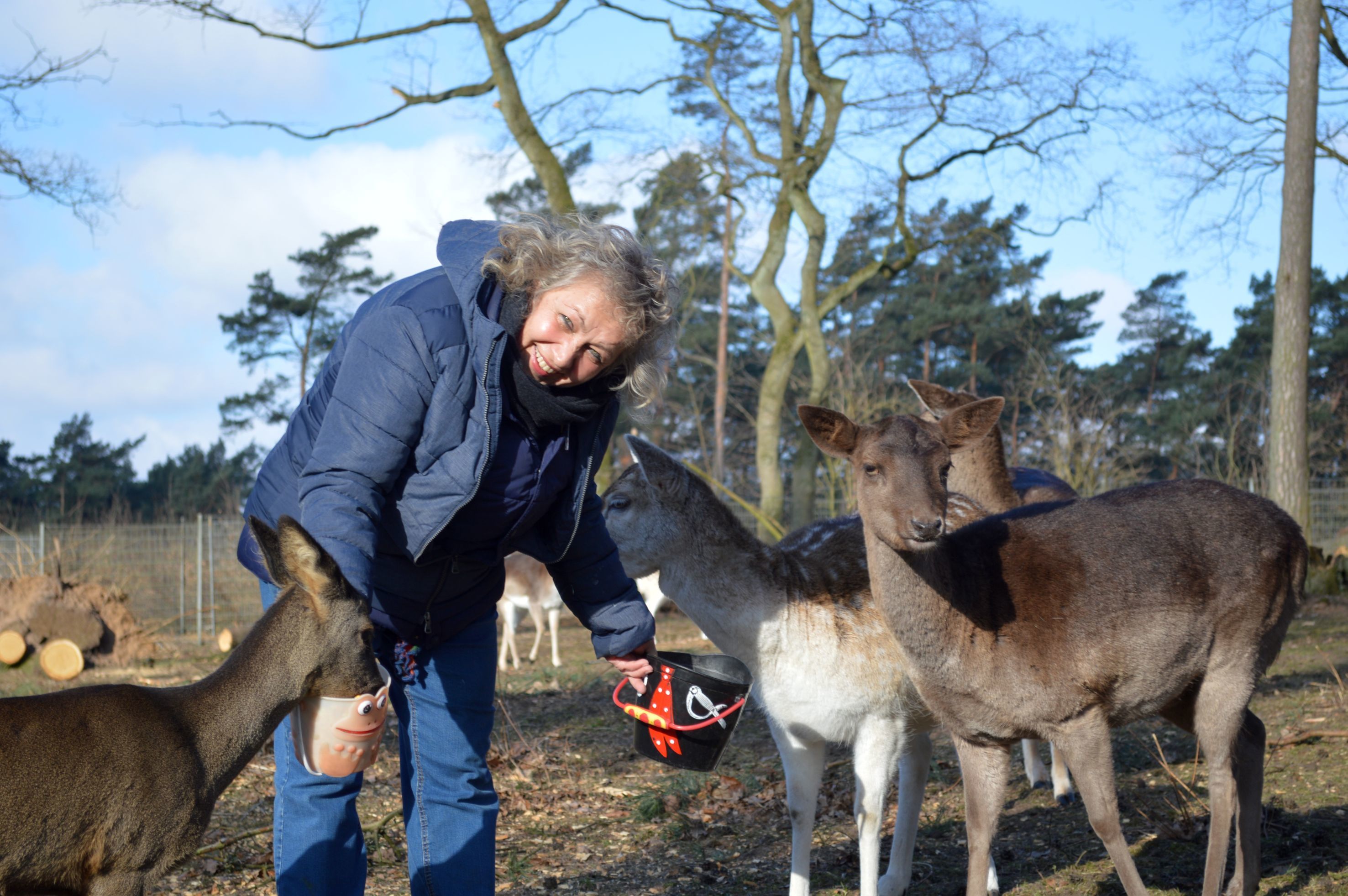 Beim Füttern des Damwilds ist ruhiges Agieren gefragt. Fotos: LWL/Seifert