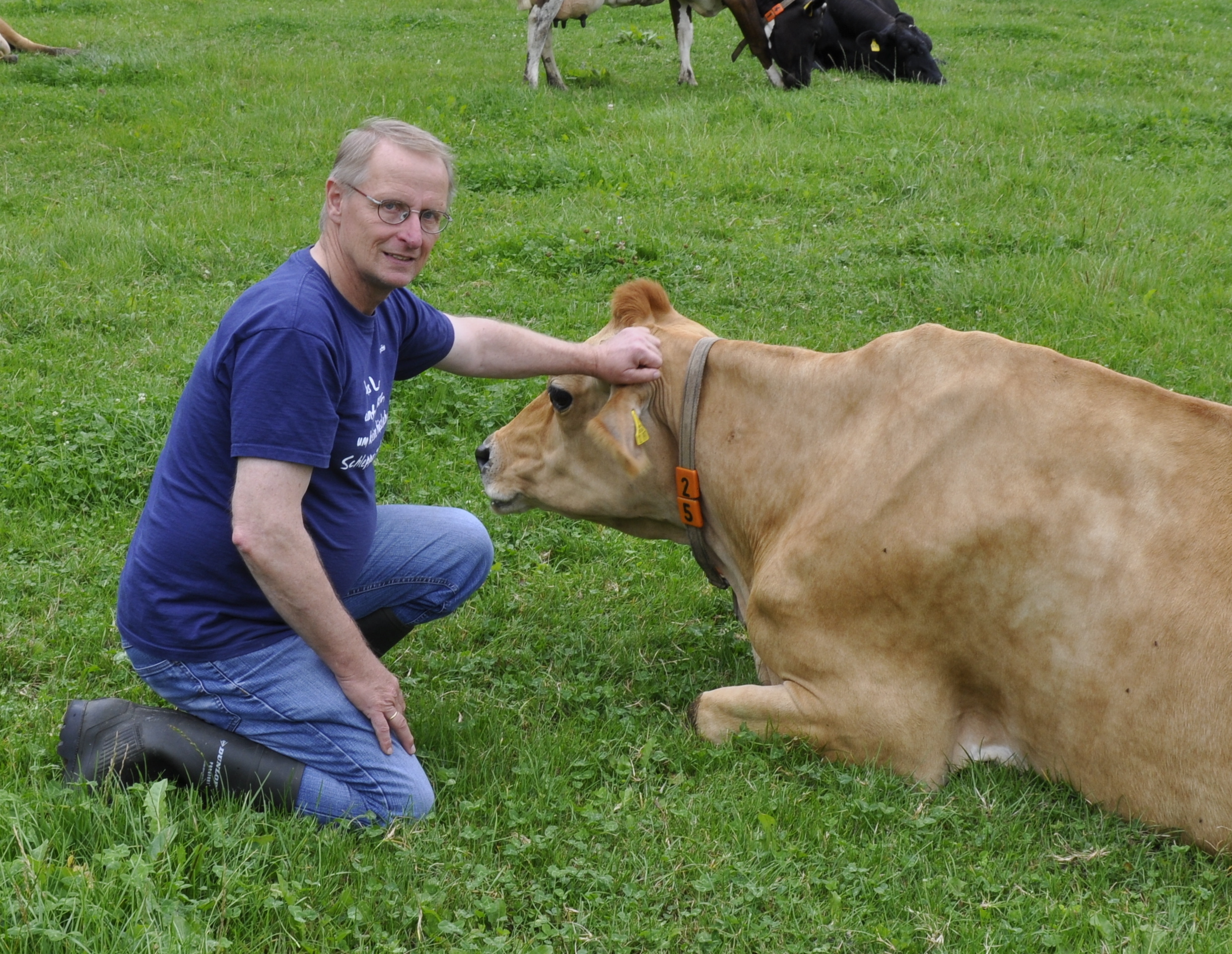 Archivbild Robert Klinkhammer auf seinem Hof "Haus Laakhausen" mit den Jersey-Rindern (Foto: Dirk Kleinwegen)