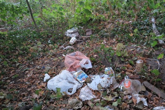 Die Fotos, zum Teil erst am Montagabend aufgenommen, von den unhaltbaren Zuständen im Bereich Charlottenstraße, Fußweg und Spielplatz sprechen Bände. Den Anwohnern stinkt die Situation im wahren Sinn des Wortes zum Himmel.
Fotos: A. Bungert