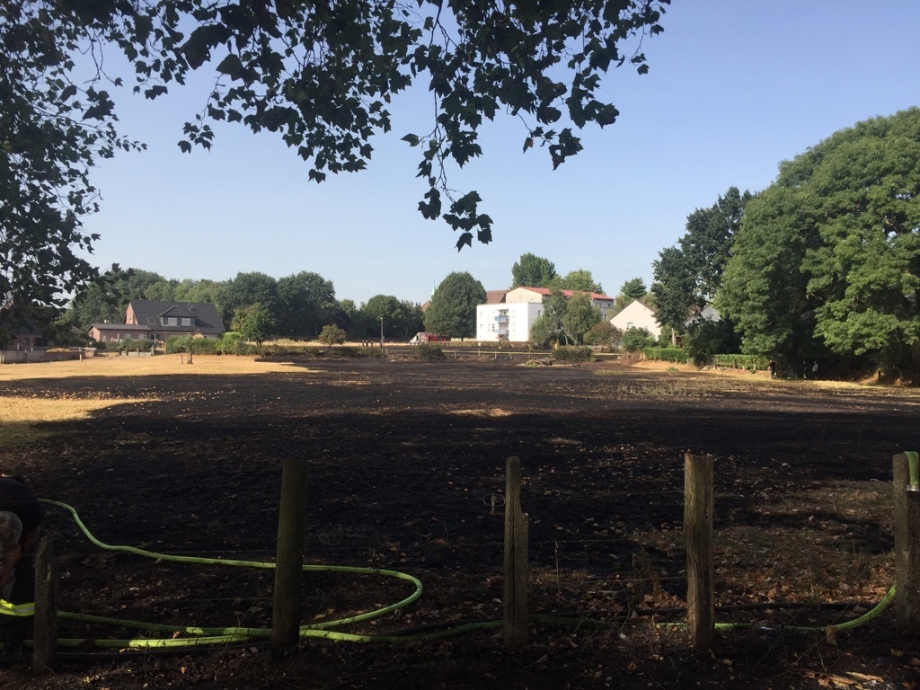 Die betroffene Fläche an der Biefangstraße. Foto: Feuerwehr
