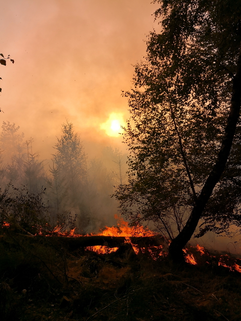 An der Stadtgrenze zu Iserlohn standen schätzungsweise 400 Quadratmeter Wald in Flammen.