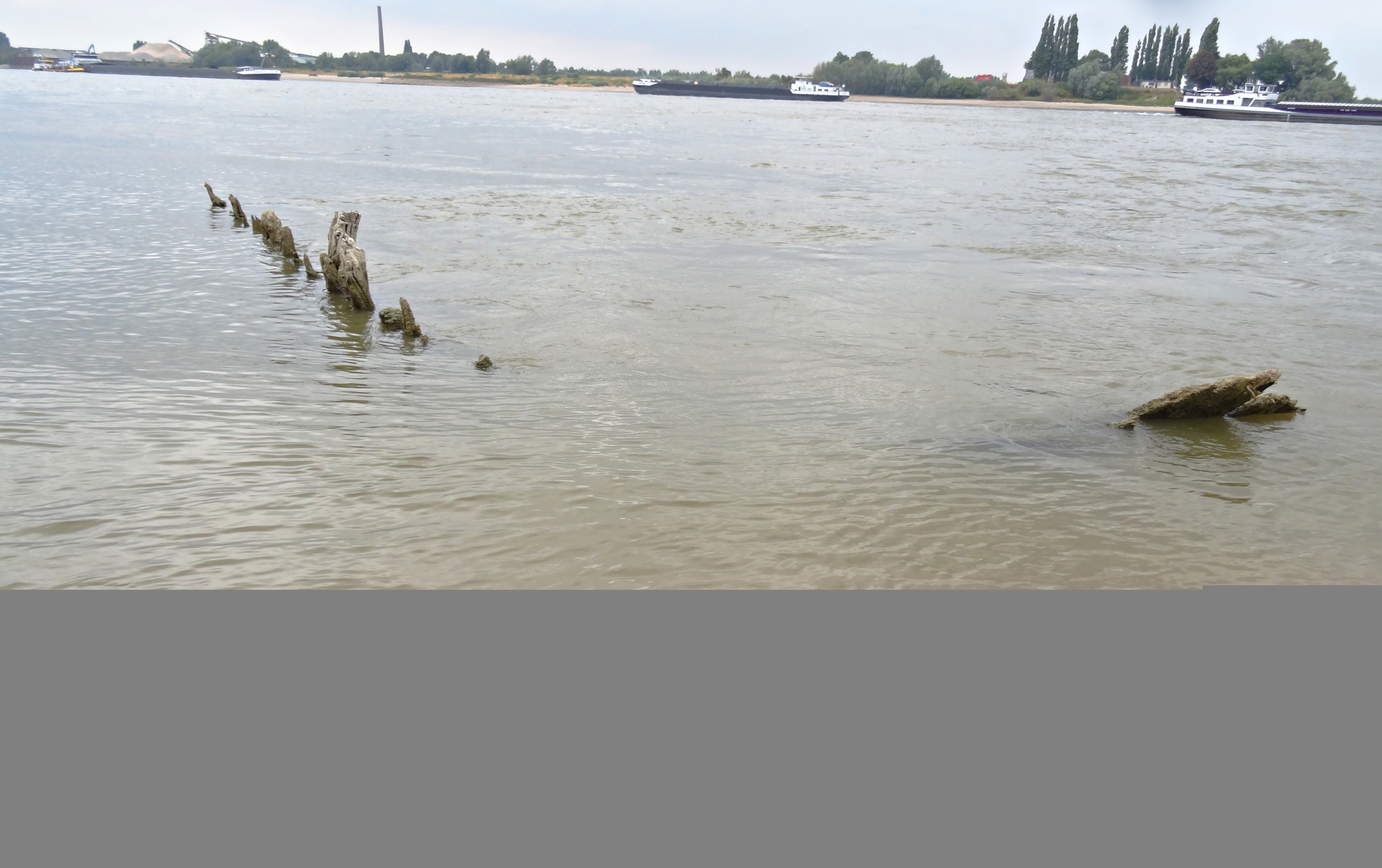 Wrack der Elisabeth