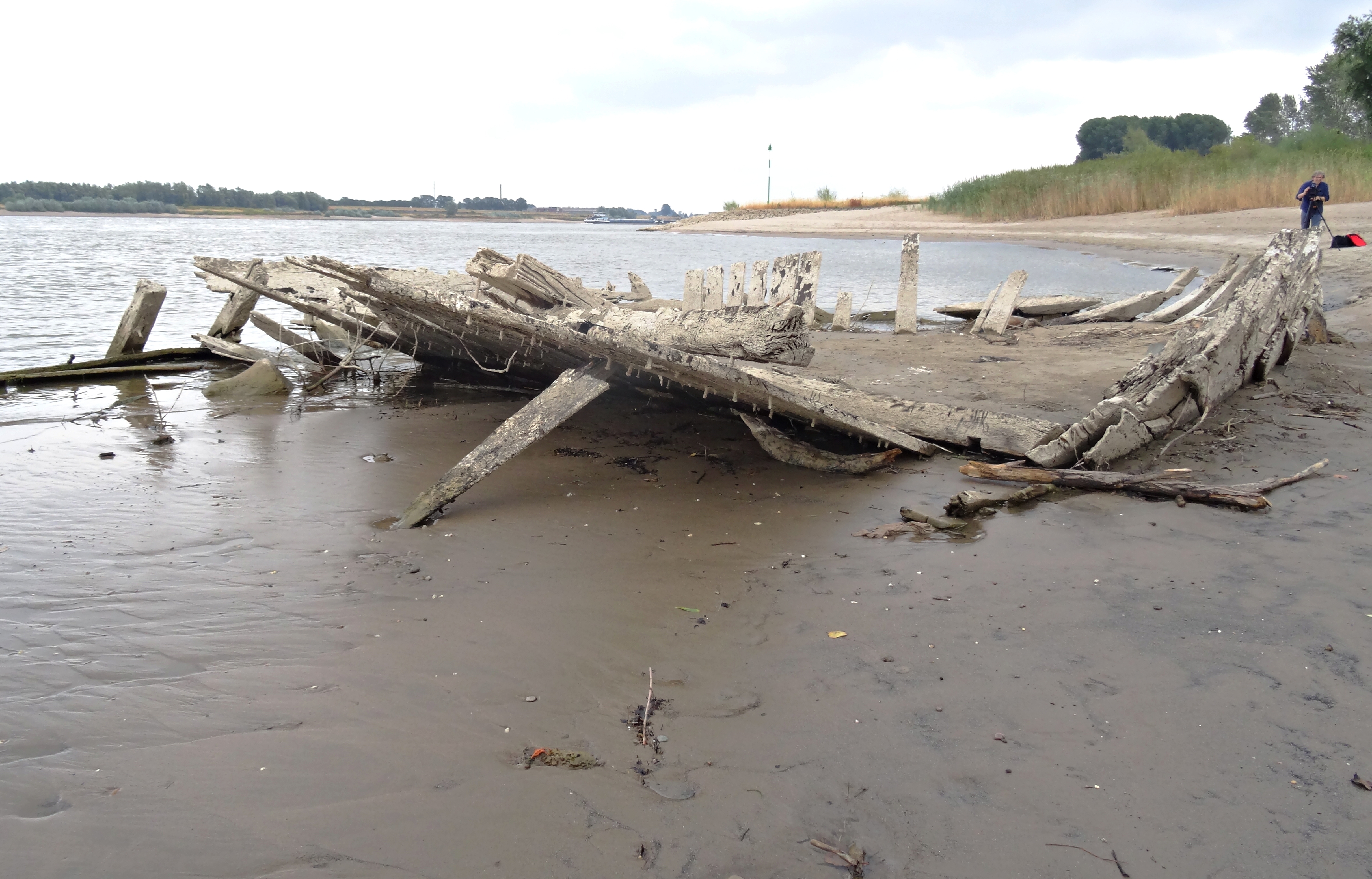 Wrack der Hope