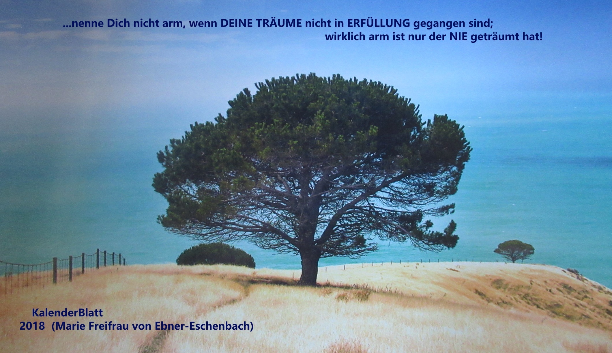 AUGUST... ich habe das Kalenderblatt ein wenig... "verändert"....