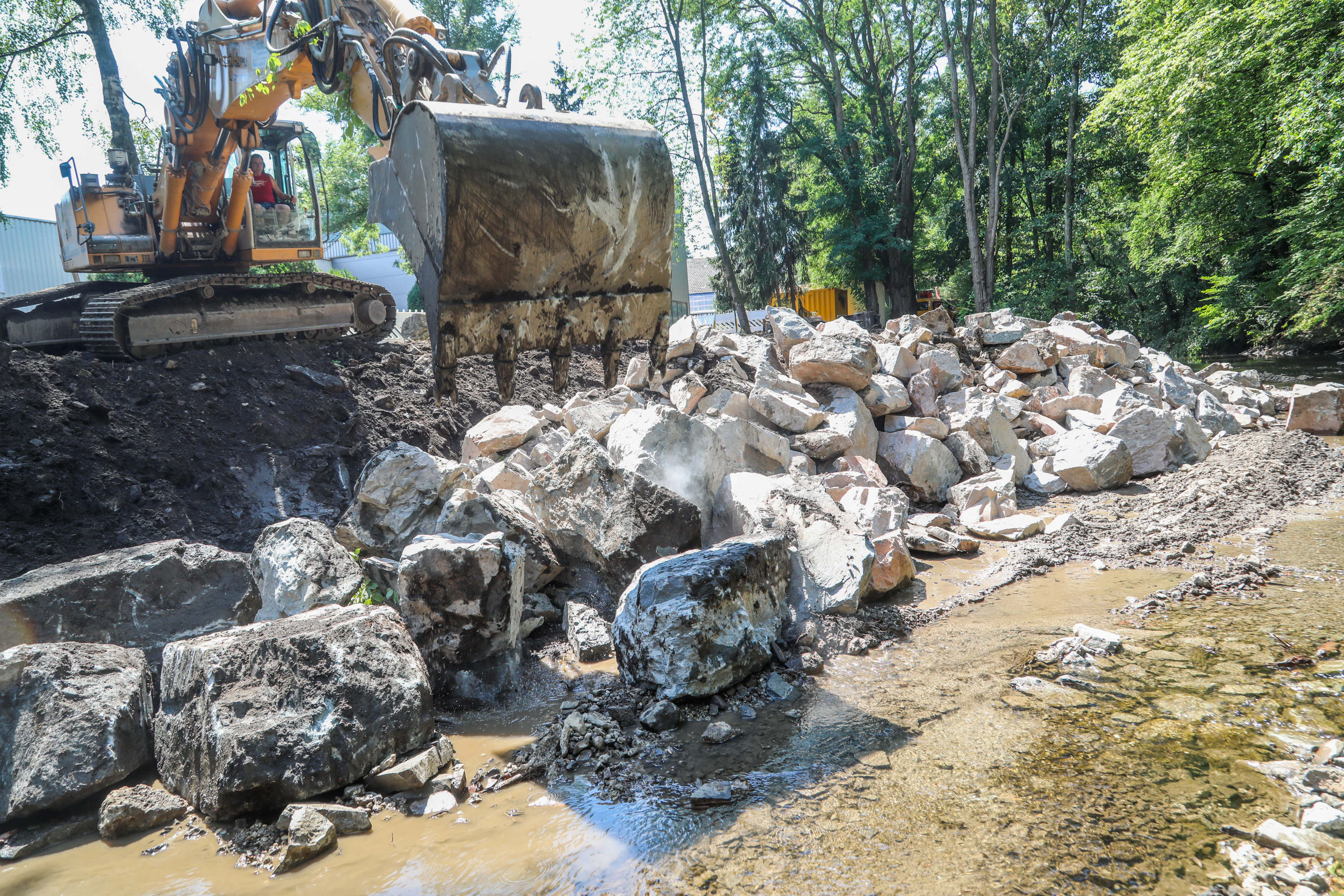 Die Fische wurden sicher "evakuiert", bevor der Bagger loslegen konnte. Foto: AVU / Bernd Henkel