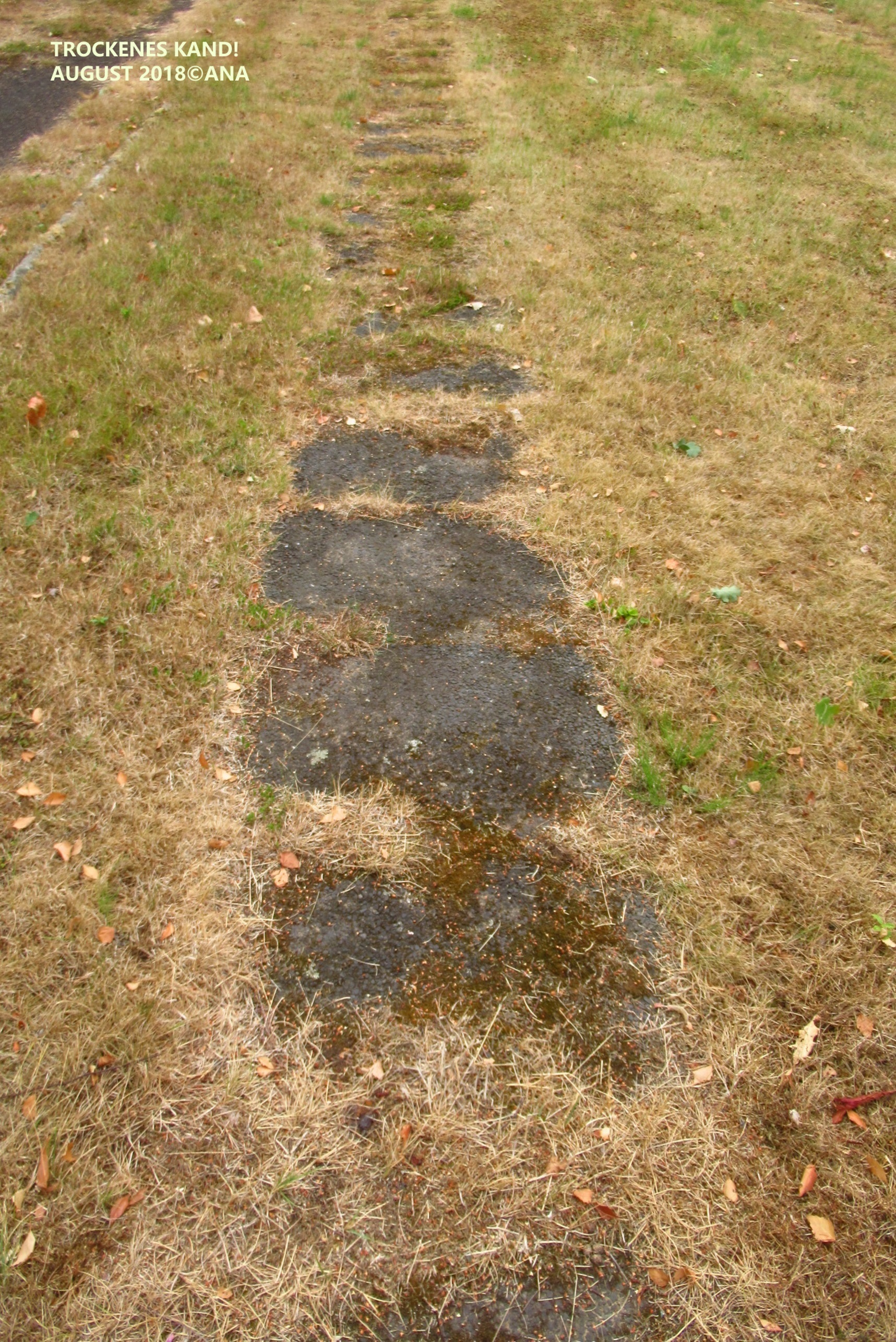 dieser WEG... ausgetrocknet, staubig, steinig ...