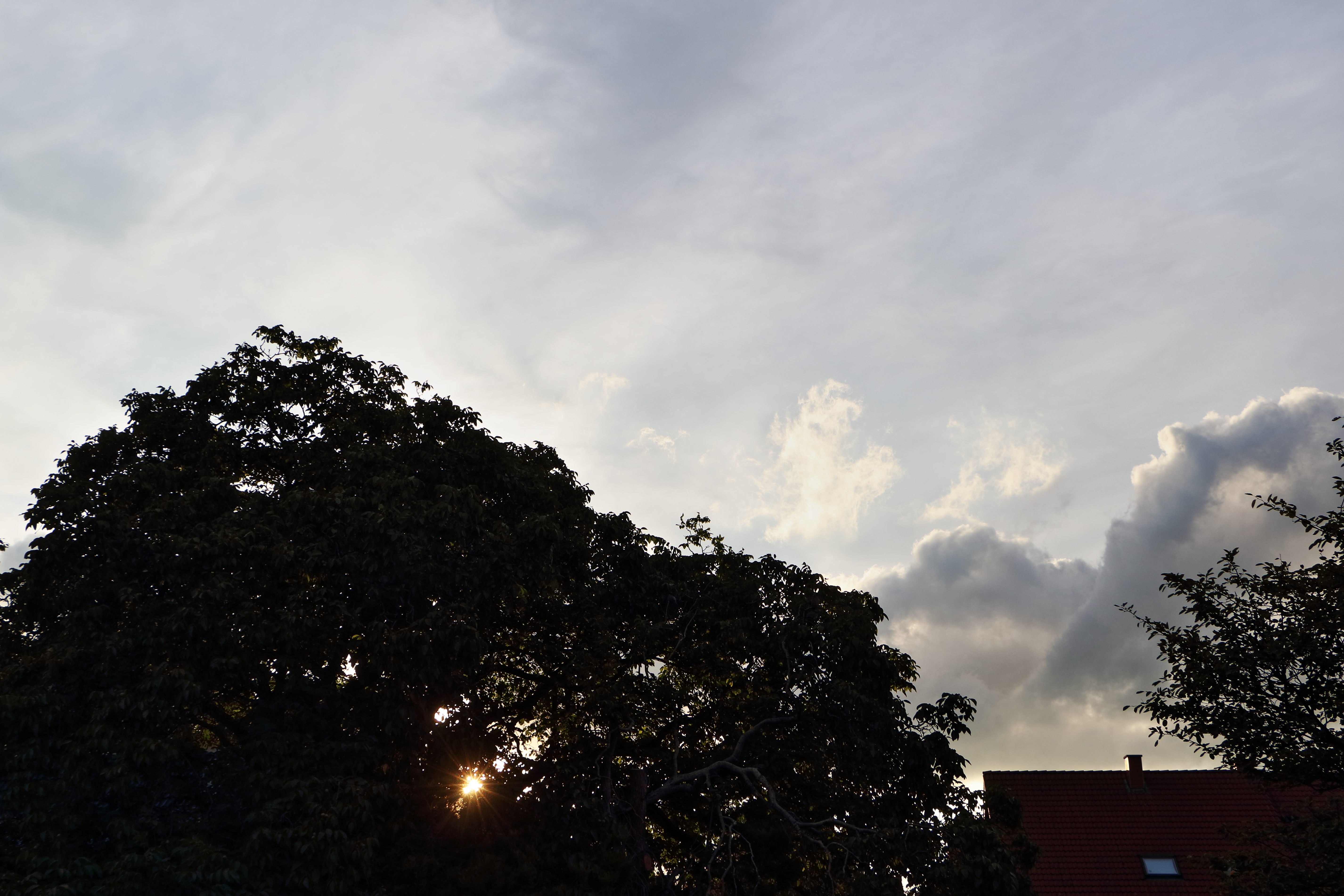 die Sonne strahlt .........