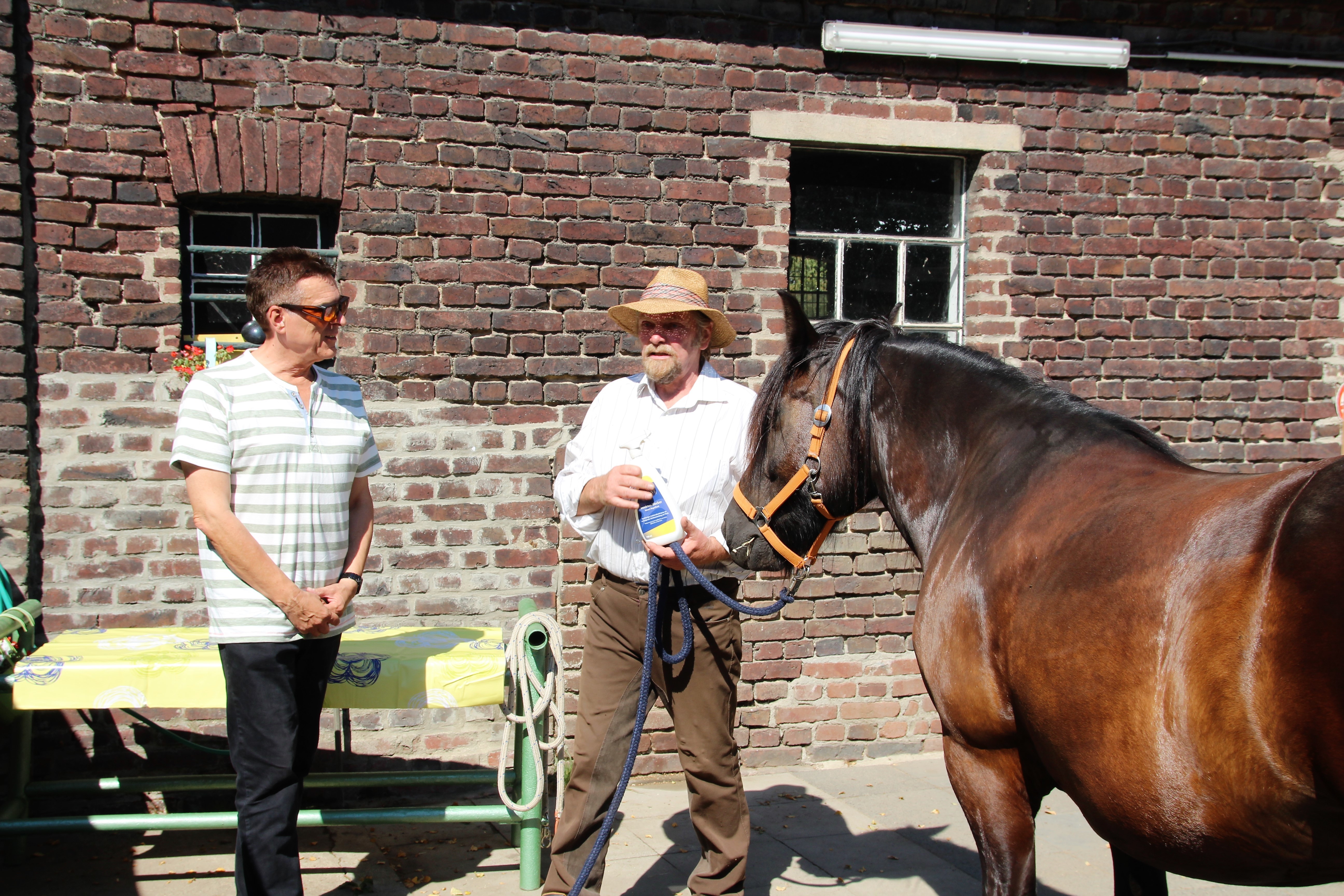 Dieter Holthaus, Projektleiter Blind Date beim Blinden- und Sehbehindertenverein Duisburg, und Reitverein-Vorsitzender Werner Albry (v.l.) stellen Henry, das 16-jährige Fellpony vor.
Fotos: Reiner Terhorst