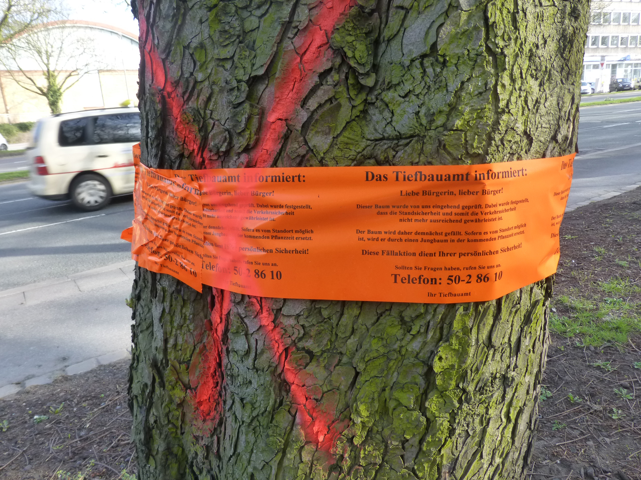 In dieser Form kennzeichnet das Tiefbaum die zu fällenden Bäume.