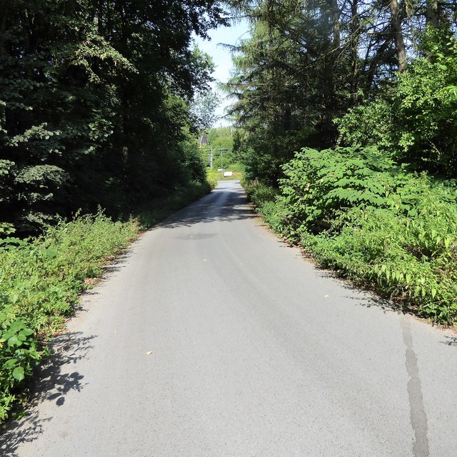 Die wenig befahrene Nebenstraße Oesterheidestraße soll Fahrradstraße werden.