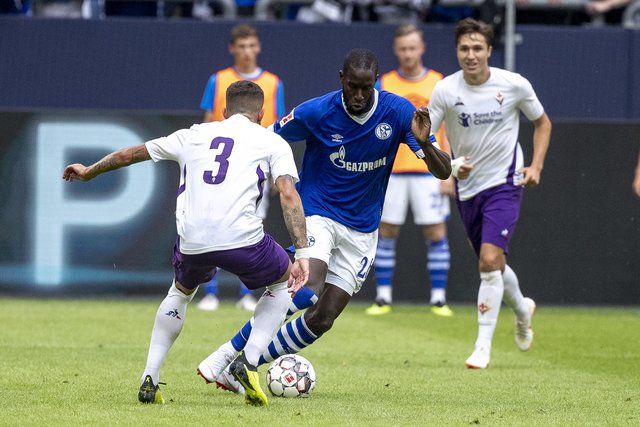 Salif Sané kam dank einer Ausstiegsklausel - wie bei Skrzybski übrigens - für nur 7 Mio. Euro aus Hannover. Der Defensivspieler ist trotz seiner Körperlänge technisch sehr stark.