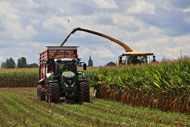 Kirchturm von Louisendorf