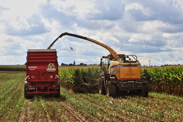 ..... mit einem New Holland FR 700 Häcksler