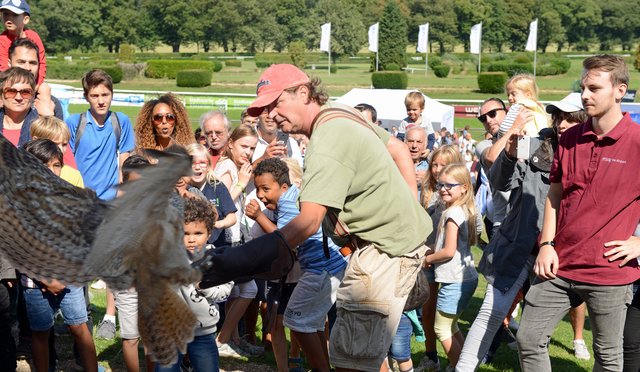 Kinder-Flughafen-Fest auf der Galopprennbahn in Grafenberg. Falkner Pierre Schmidt  mit Uhu Elsa.