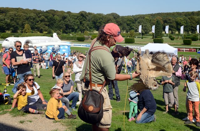 Kinder-Flughafen-Fest auf der Galopprennbahn in Grafenberg. Falkner Pierre Schmidt  mit Uhu Elsa.