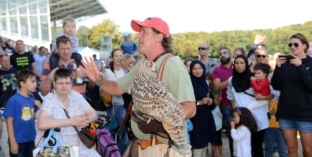 Kinder-Flughafen-Fest auf der Galopprennbahn in Grafenberg. Falkner Pierre Schmidt  mit Uhu Elsa.
