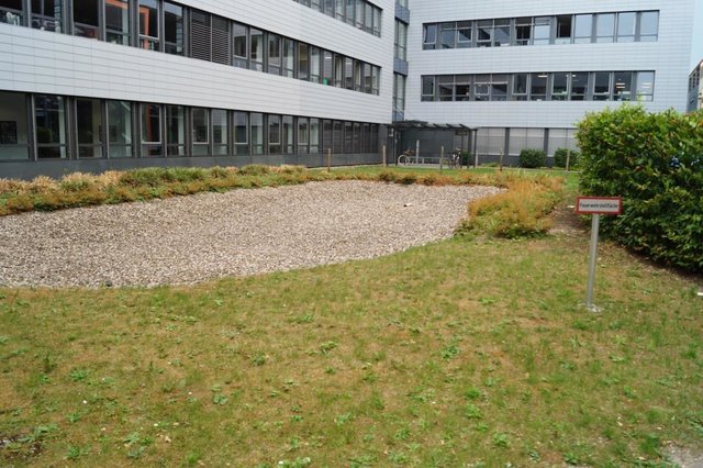 Versickerungsfläche am Katzberg