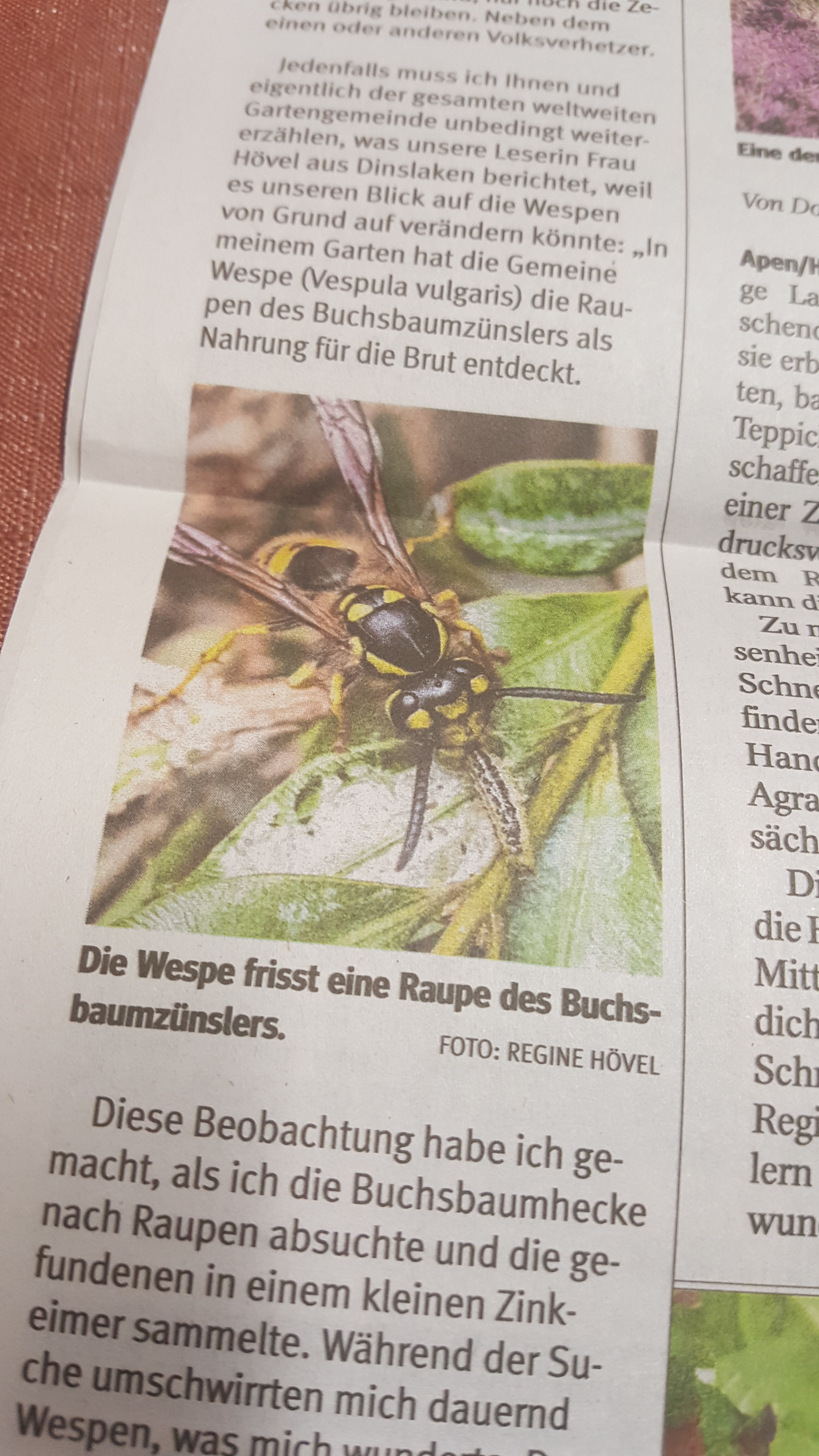 Klasse