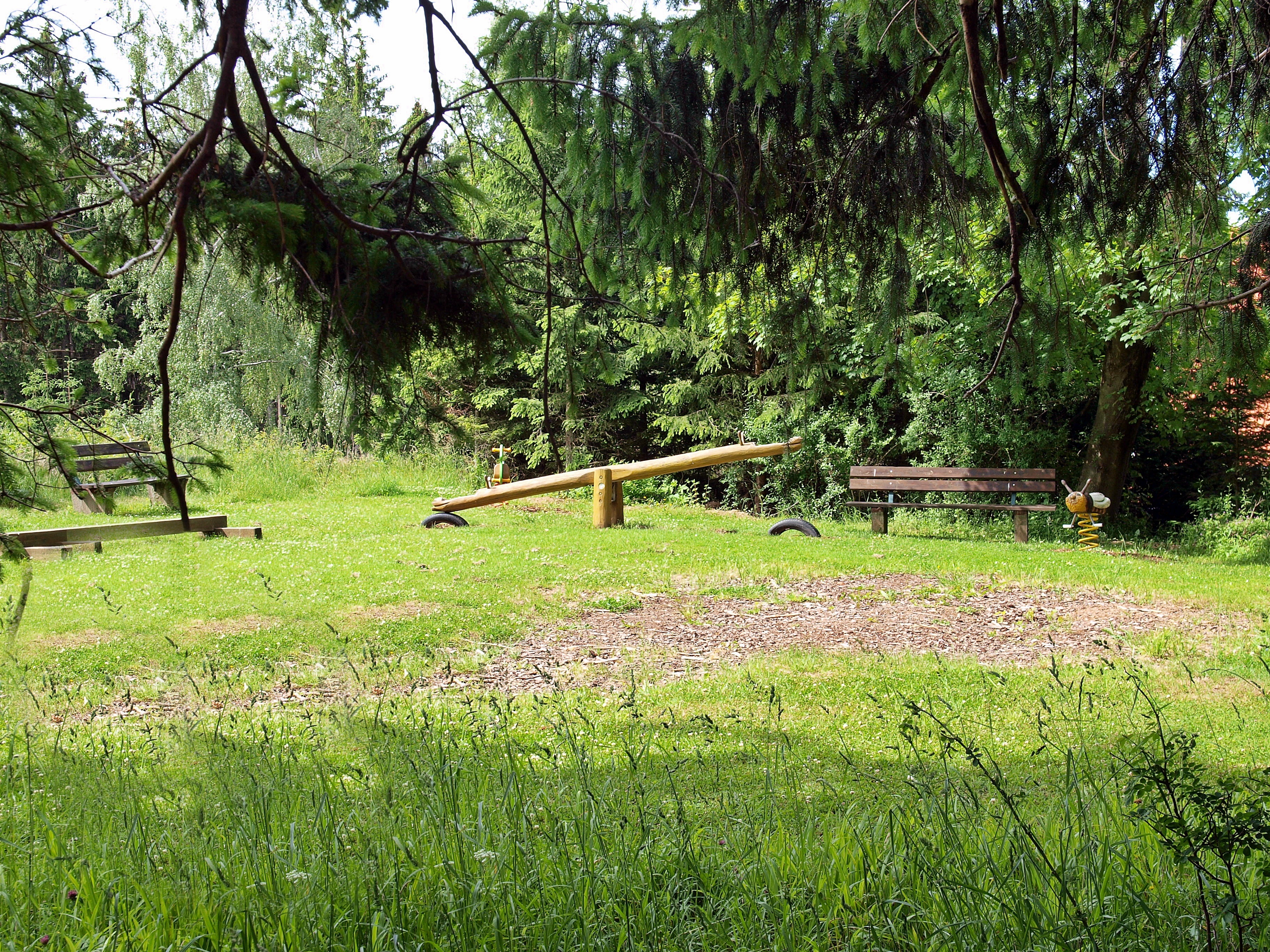 Kinder erforschen den Wald mit Mimi der Waldmaus.