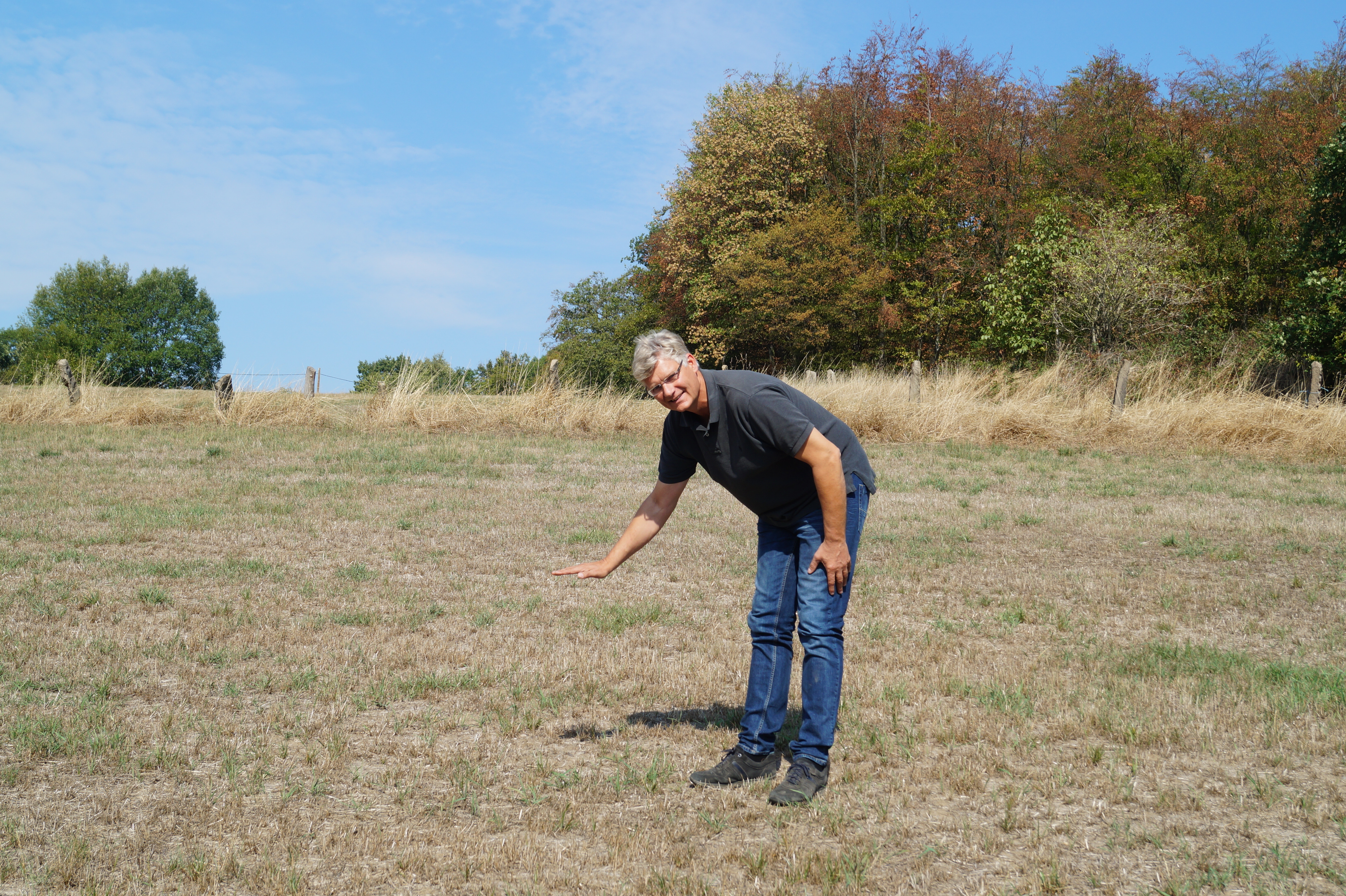 Jan-Dirk Braß zeigt, wie hoch das Gras auf seiner Wiese im Wannebachtal eigentlich stehen müsste. Statt dessen ist das Grün bis zur Wurzel vetrocknet. Die Wiese zum Süden hin hat Gefälle, auf dem das Wasser ablaufen würde - wenn es denn mal regnete.