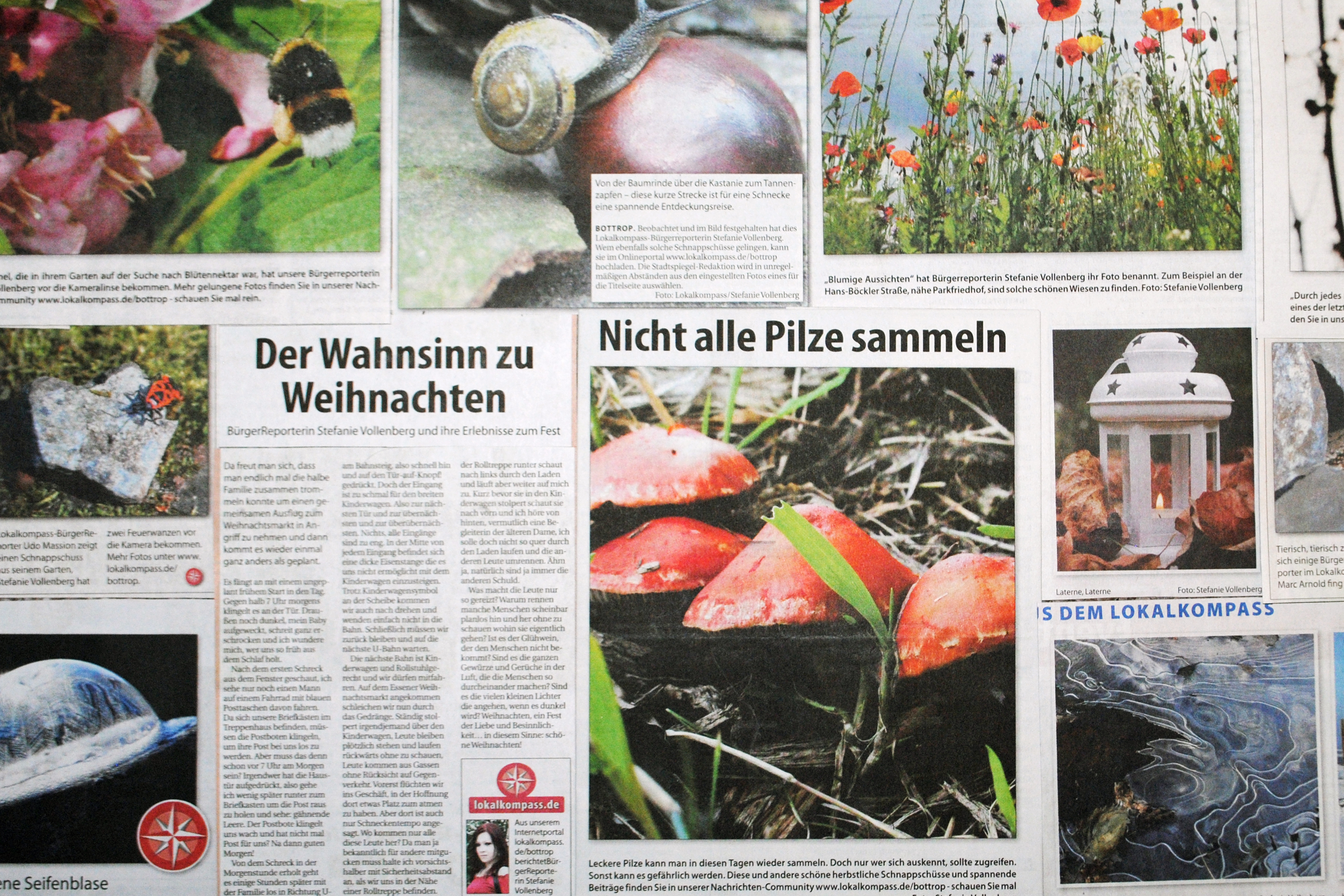Ein Teil meiner stolzen Sammlung an veröffentlichten Beiträgen